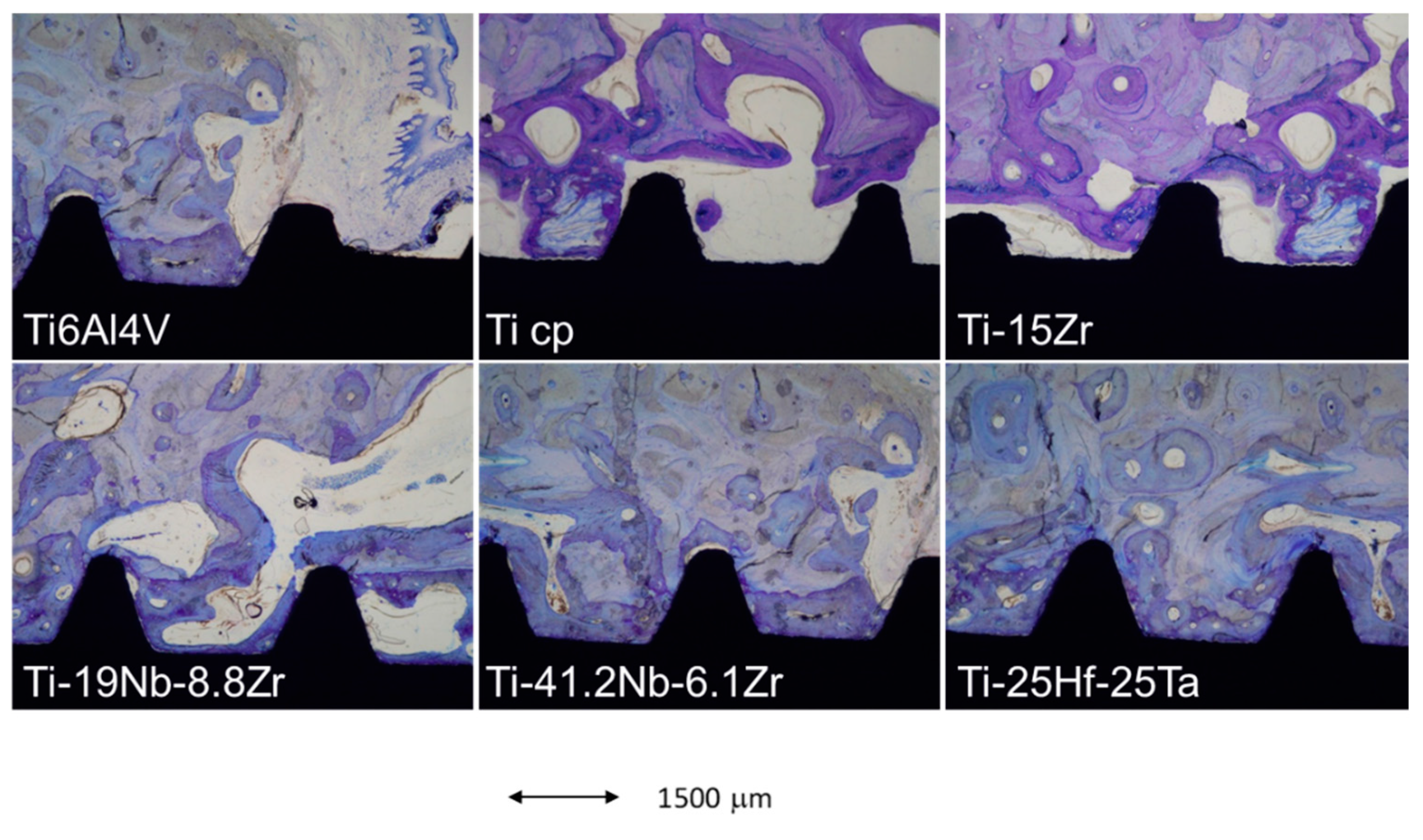 Materials 12 00980 g002