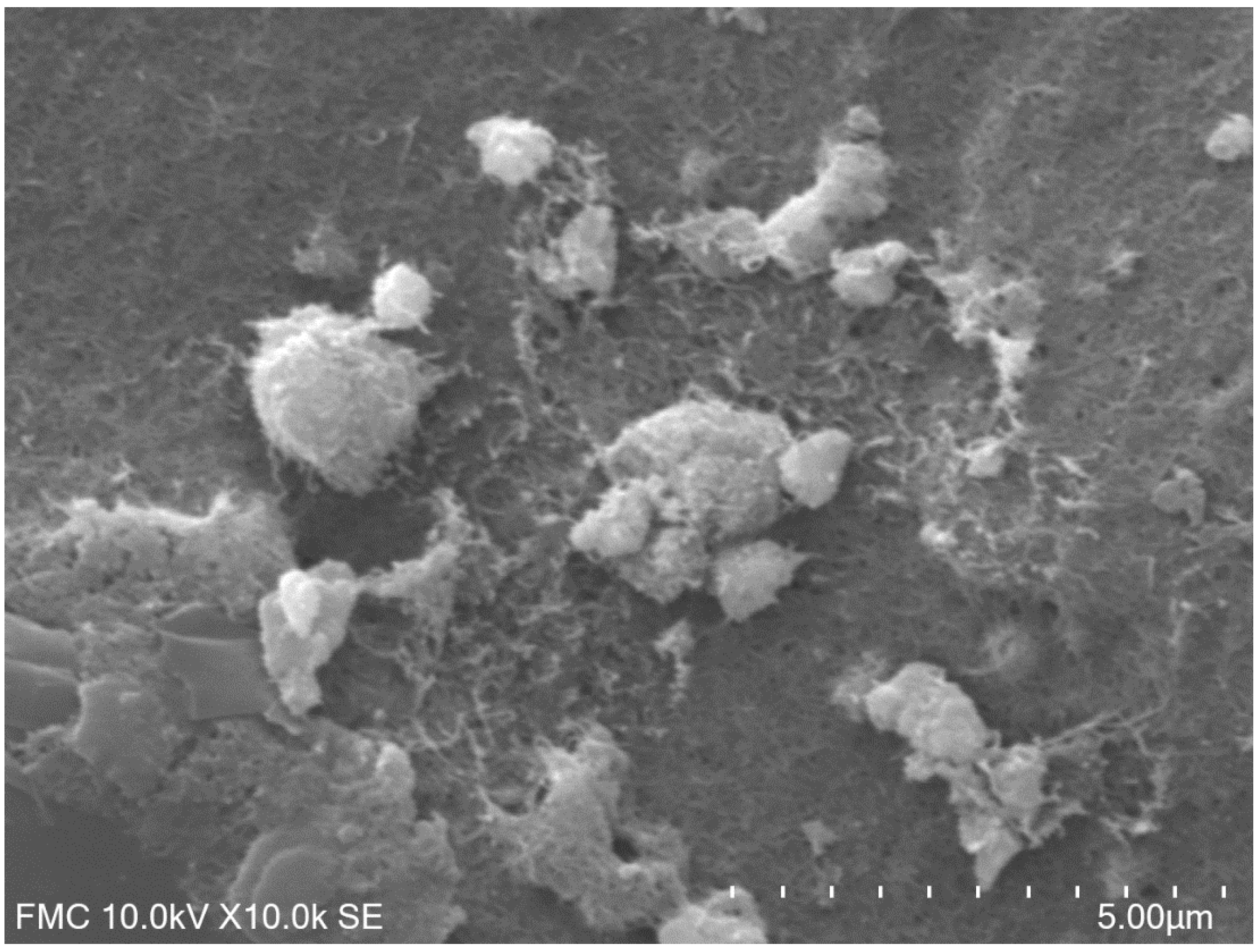 Materials 12 01009 g001 Materials 12 01009 g001