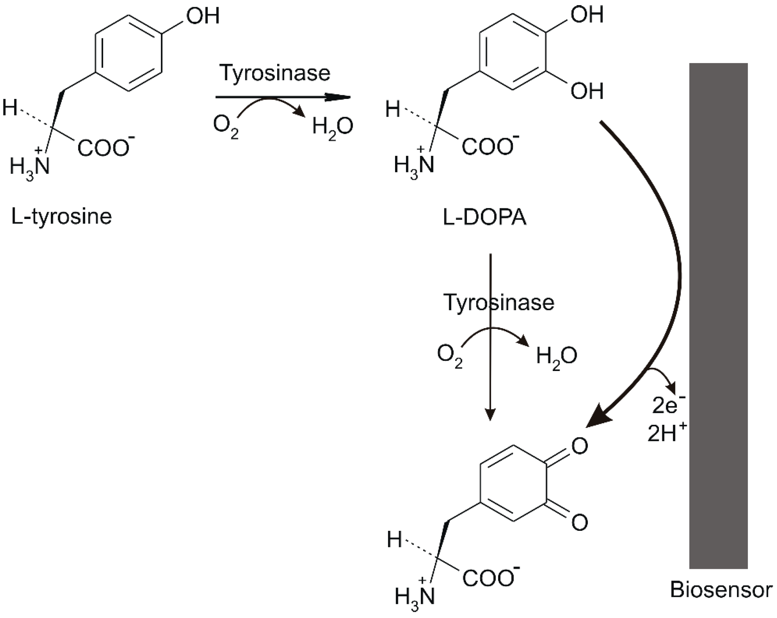 Materials 12 01009 g003 Materials 12 01009 g003