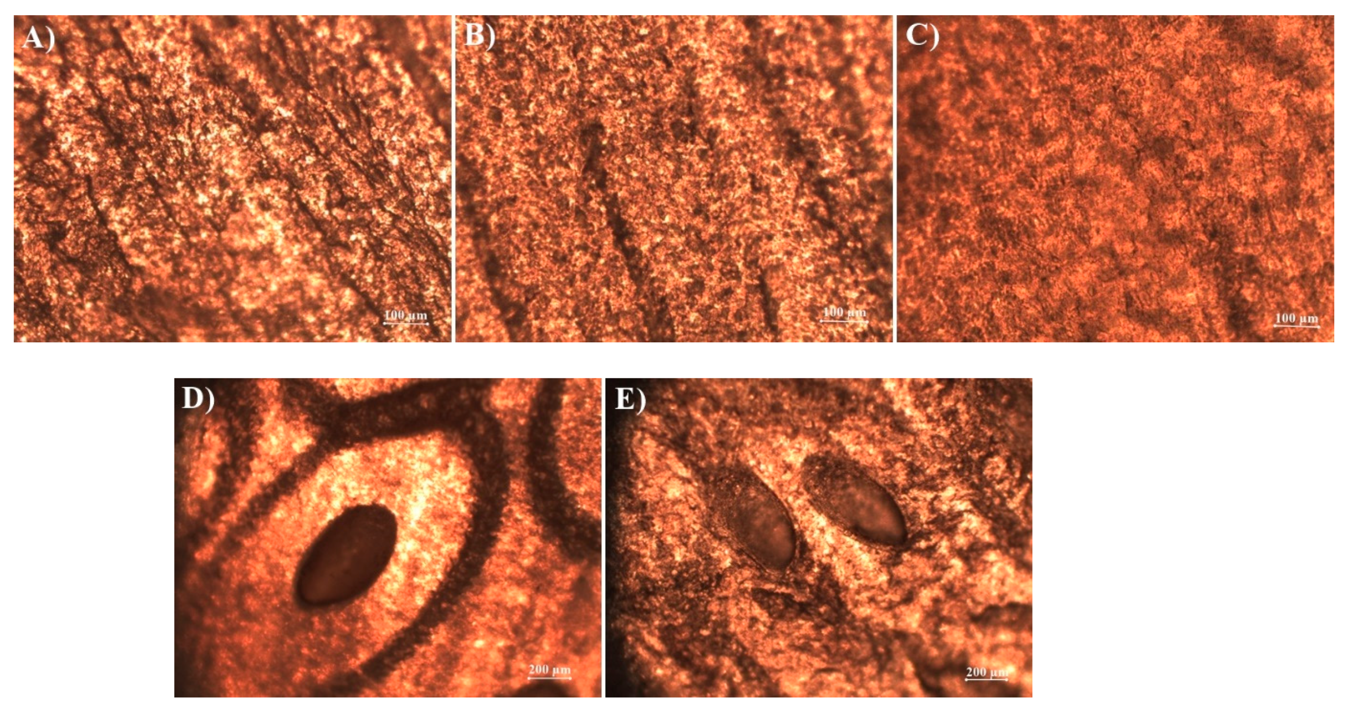 Materials 12 01028 g003