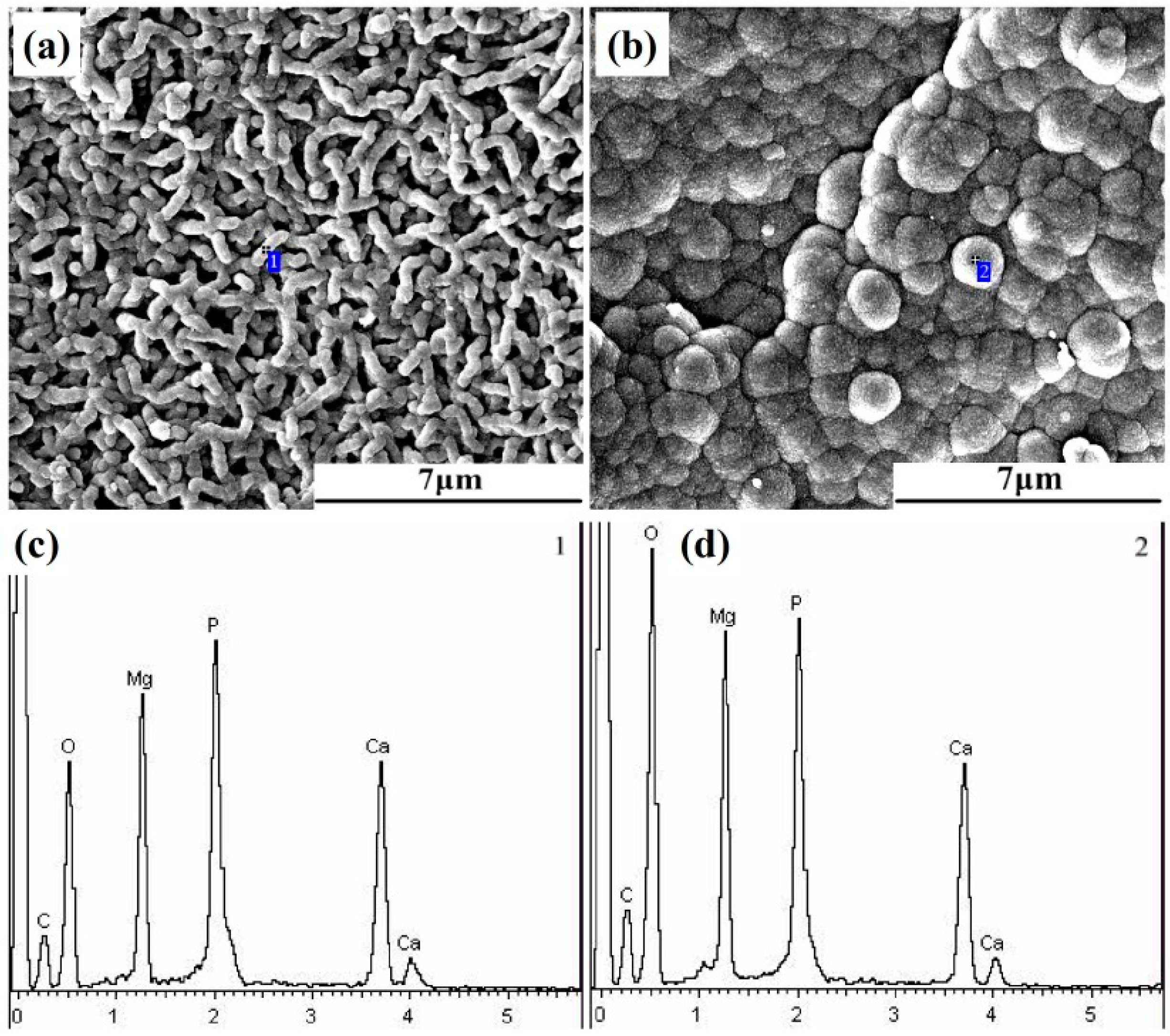 Materials 12 01049 g010