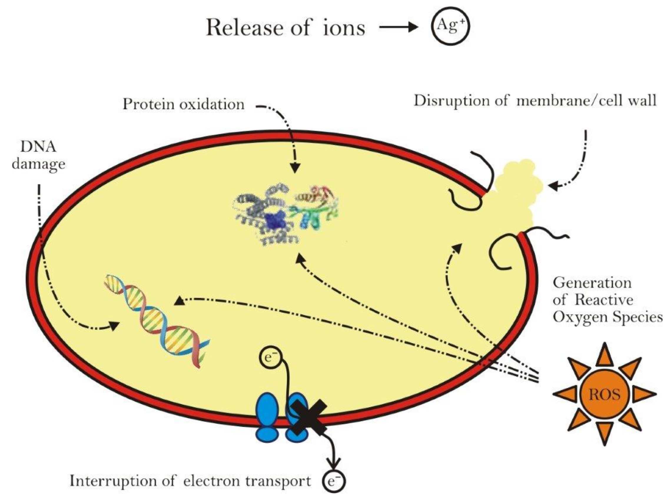 Materials 12 01078 g005 Materials 12 01078 g005
