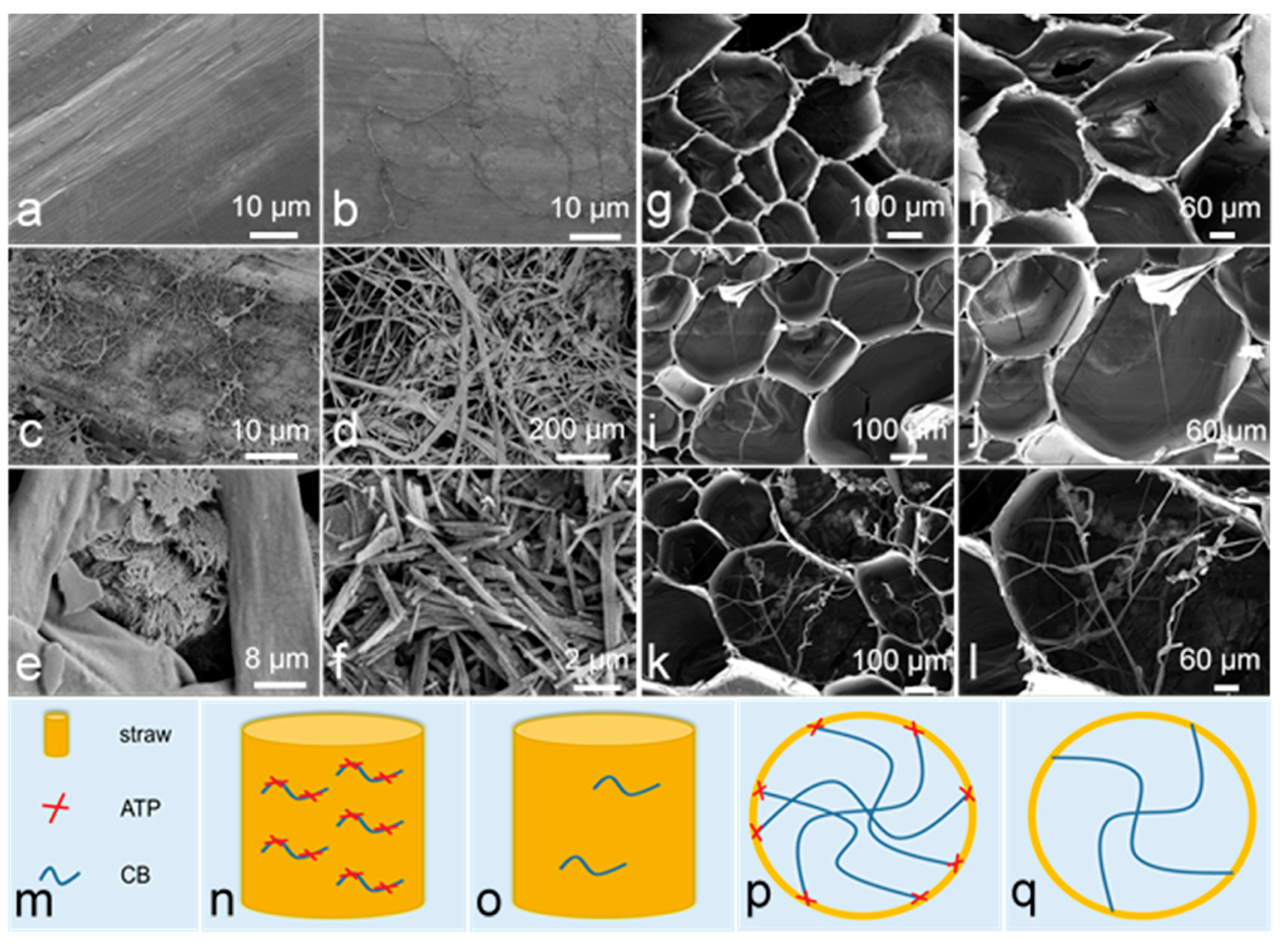 Materials 12 01148 g007