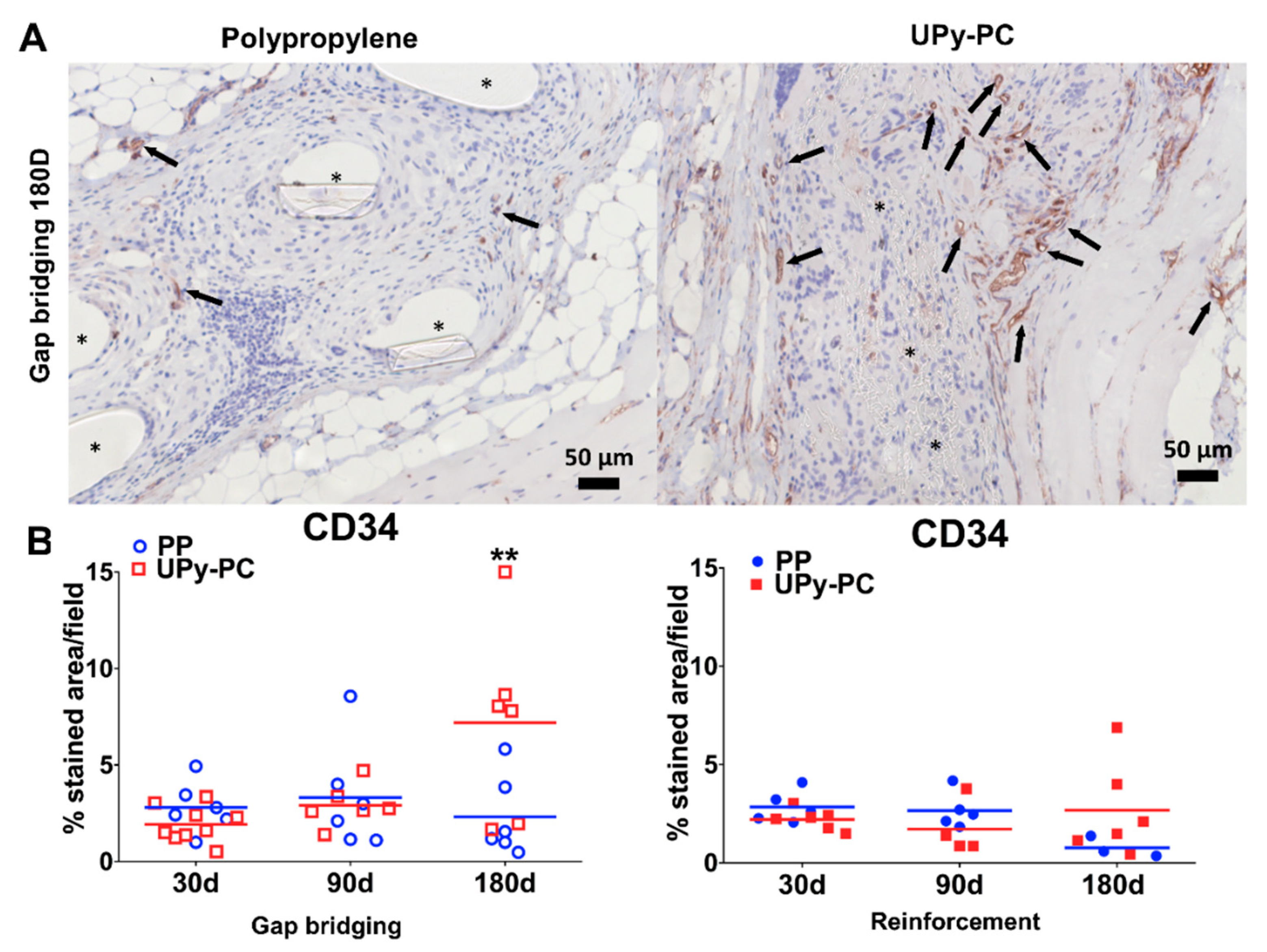 Materials 12 01174 g004