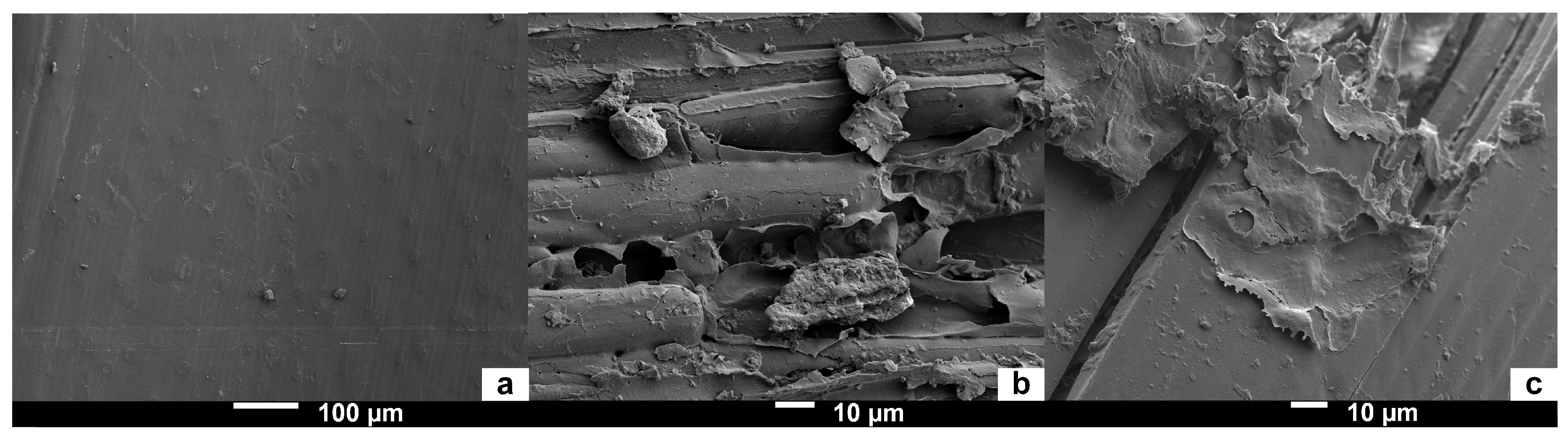 Materials 12 01199 g007