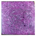 Materials 12 01240 i011 Materials 12 01240 i011