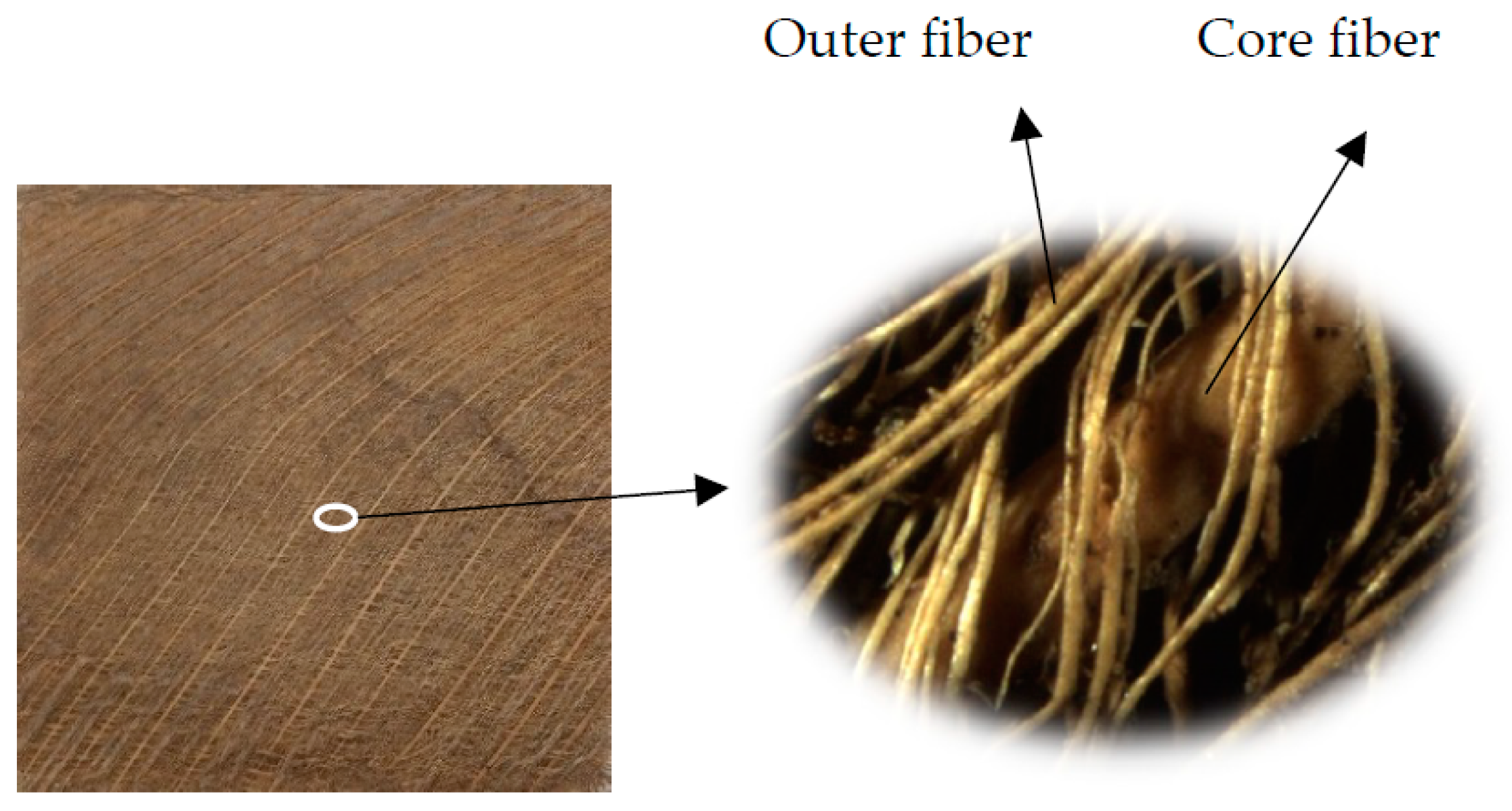 Materials 12 01249 g001