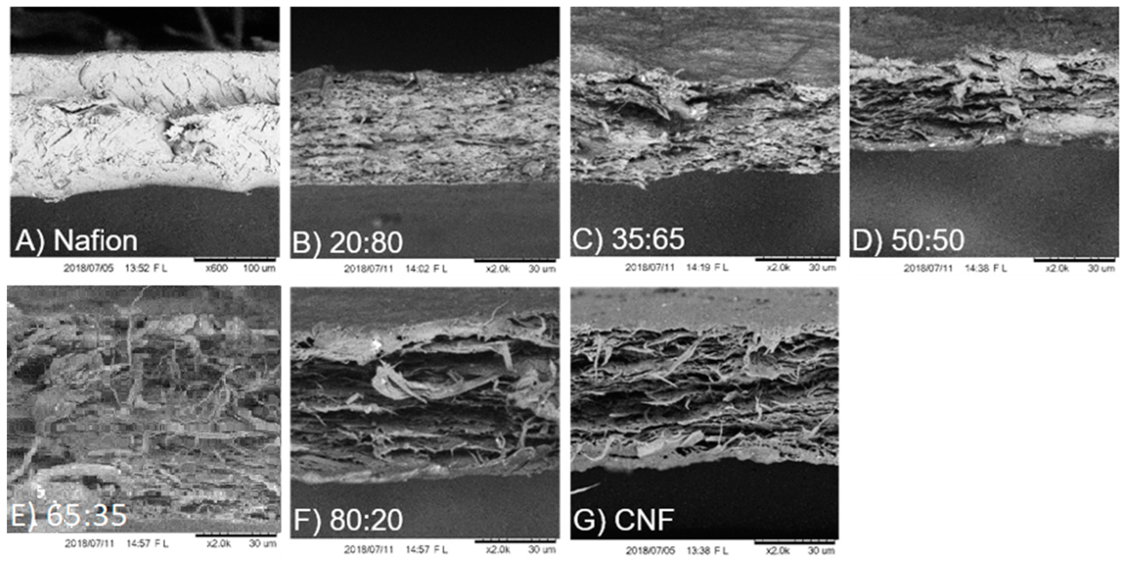 Materials 12 01269 g002 Materials 12 01269 g002