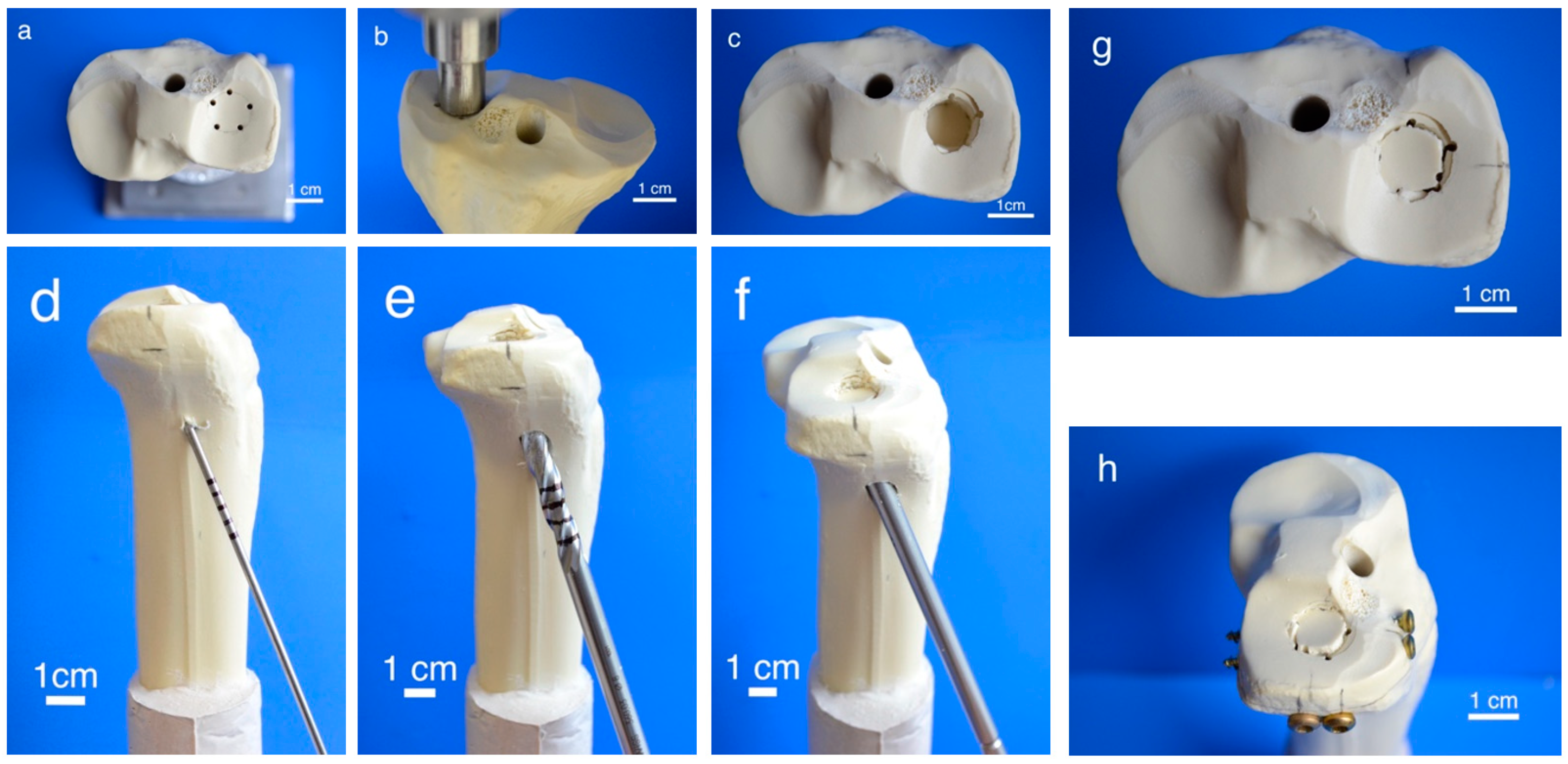 Materials 12 01364 g002 Materials 12 01364 g002
