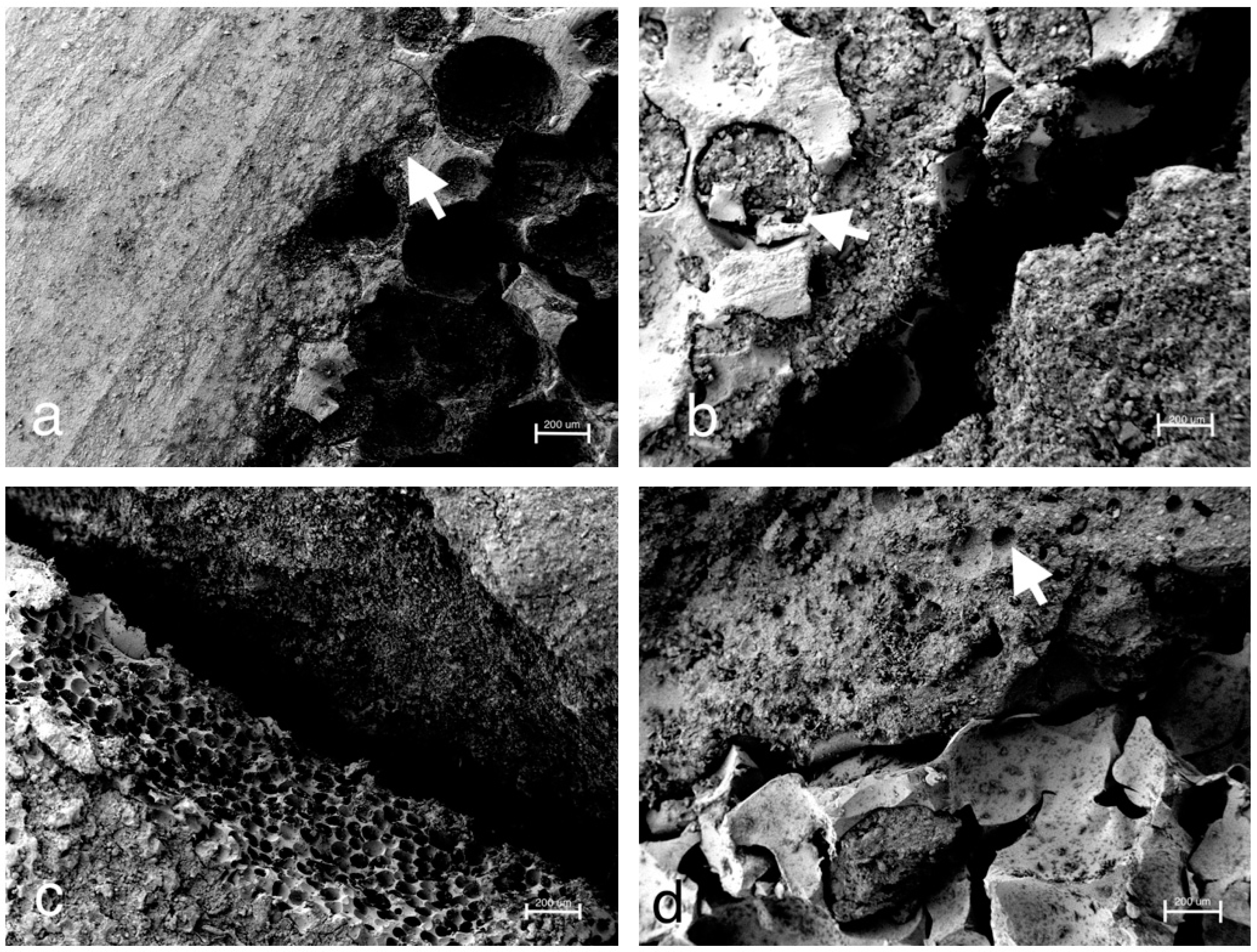 Materials 12 01364 g011 Materials 12 01364 g011