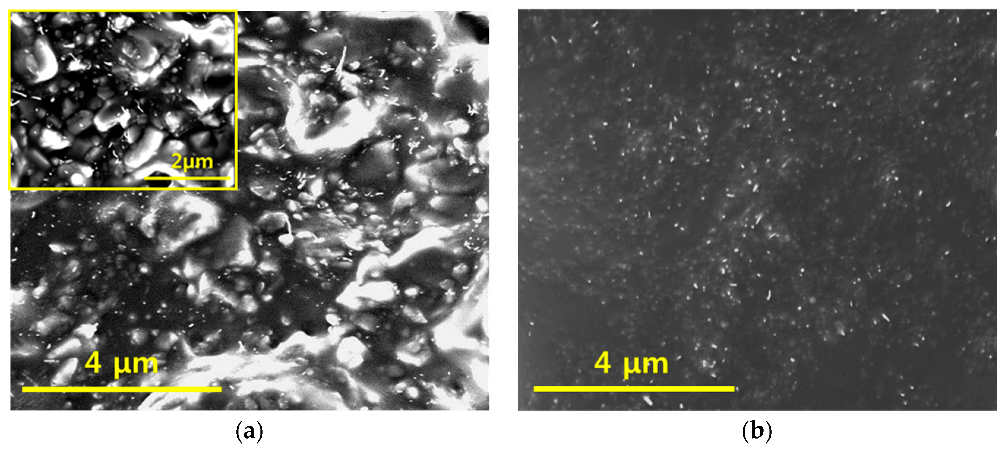 Materials 12 01395 g004 Materials 12 01395 g004