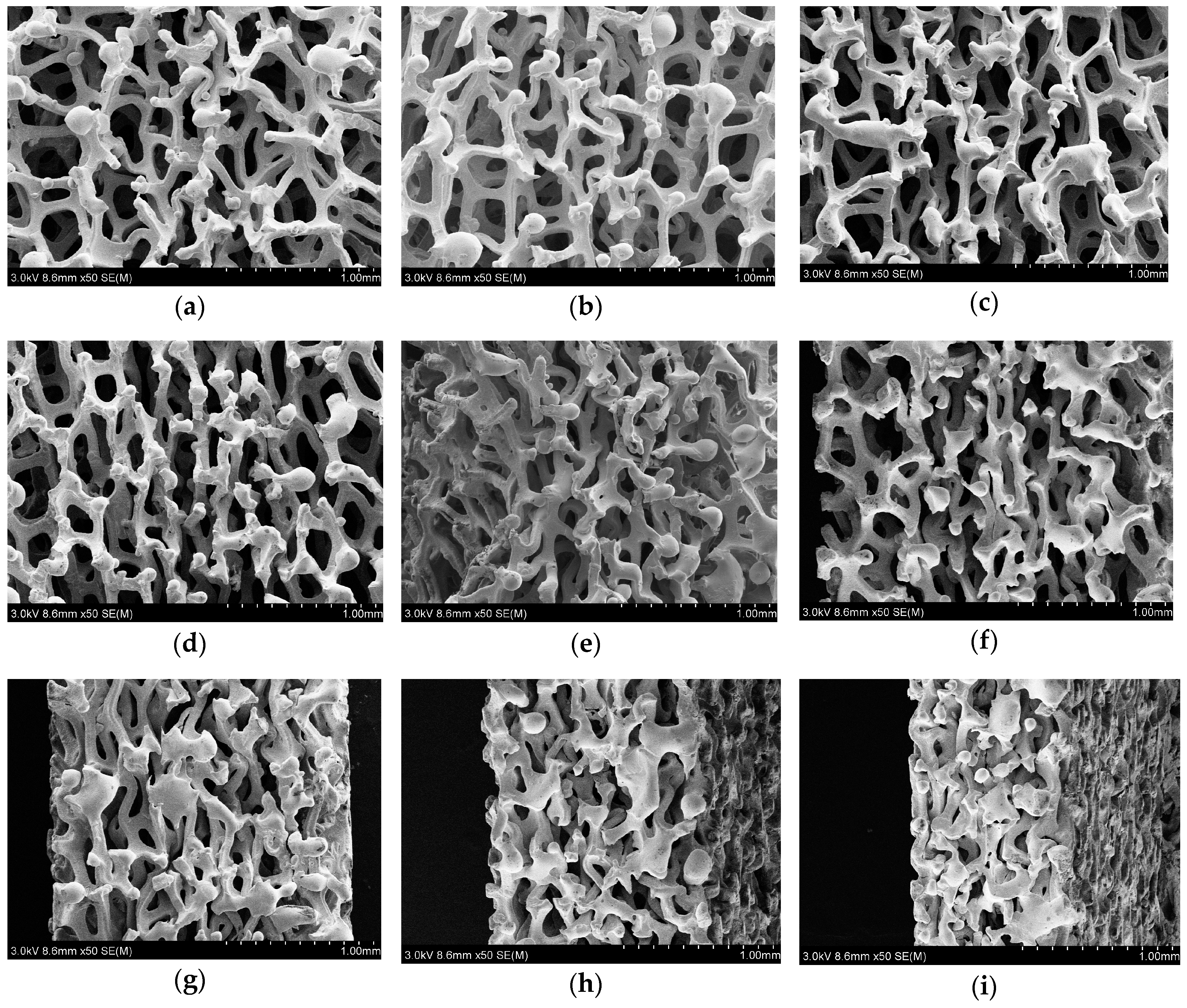 Materials 12 01413 g008