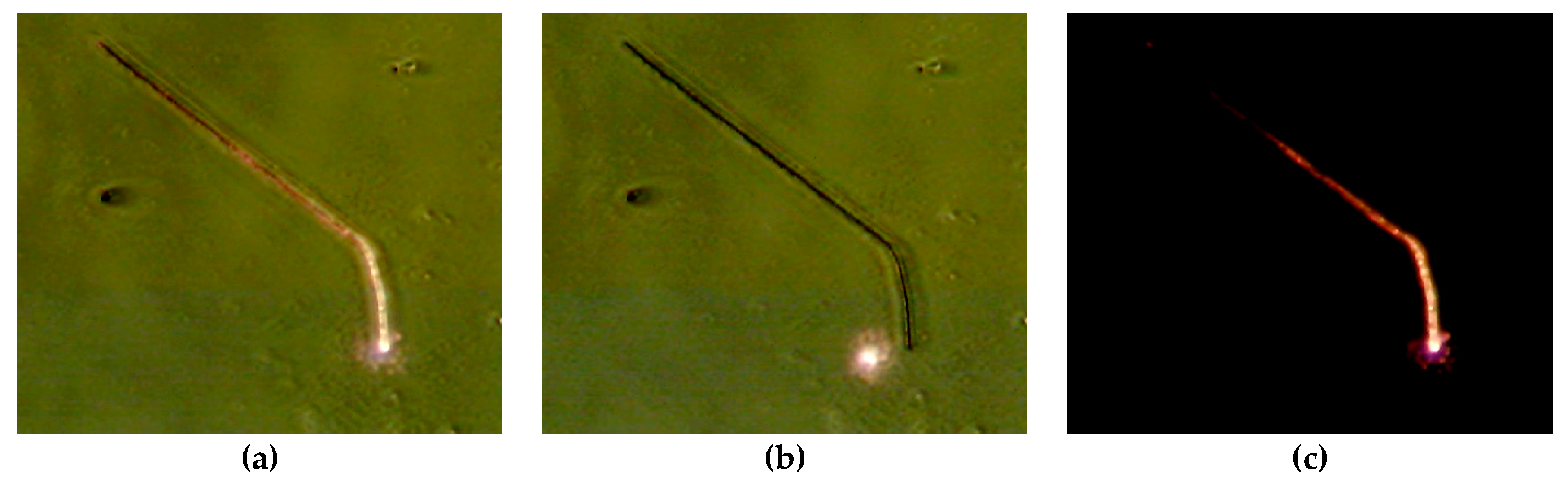 Materials 12 01418 g008