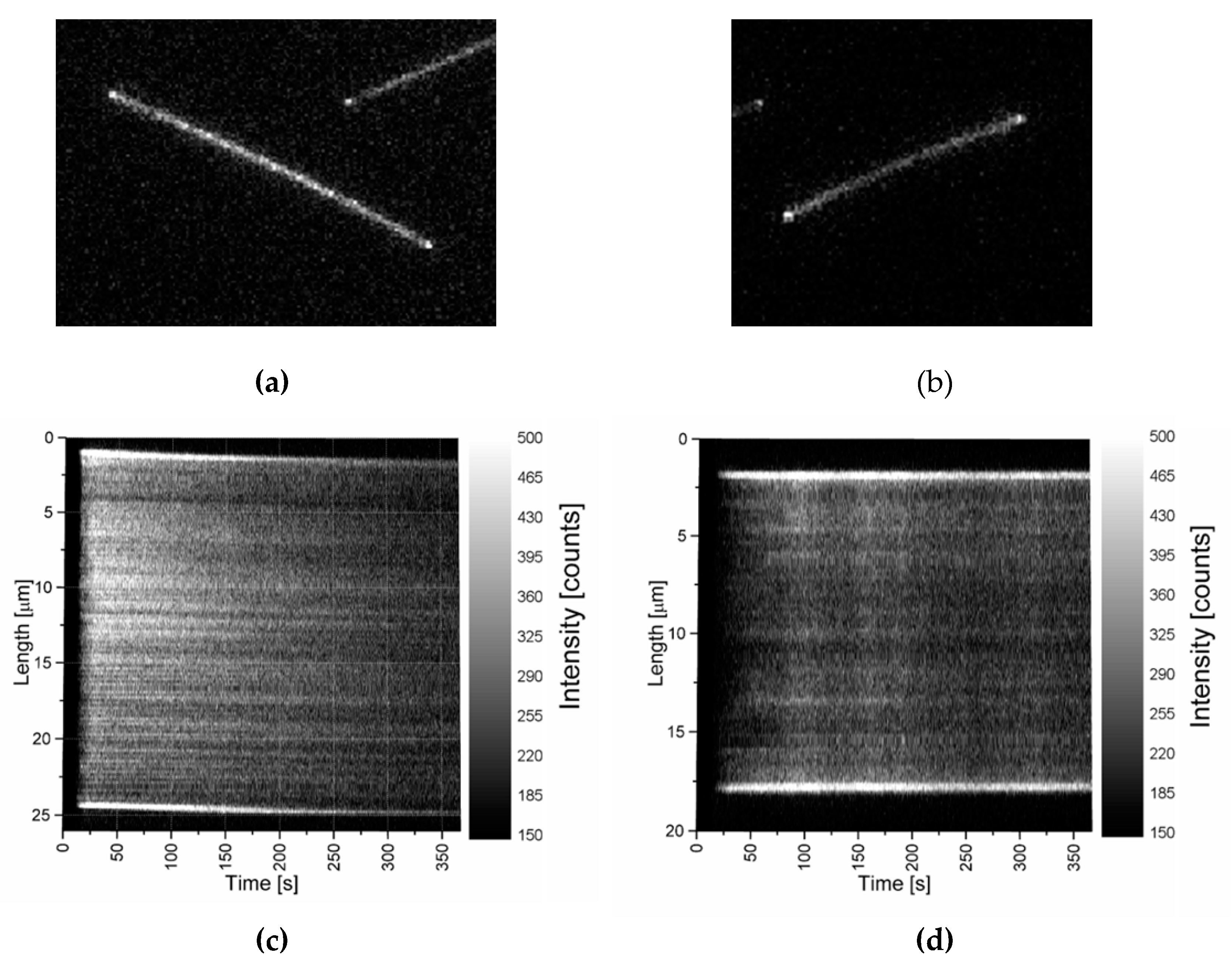 Materials 12 01418 g009