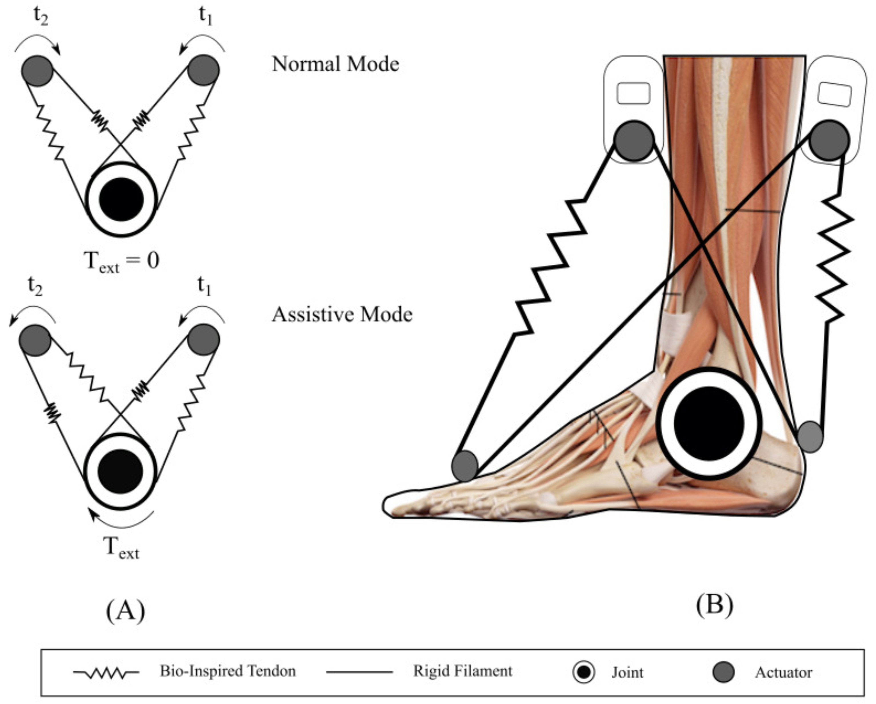 Materials 12 01443 g003