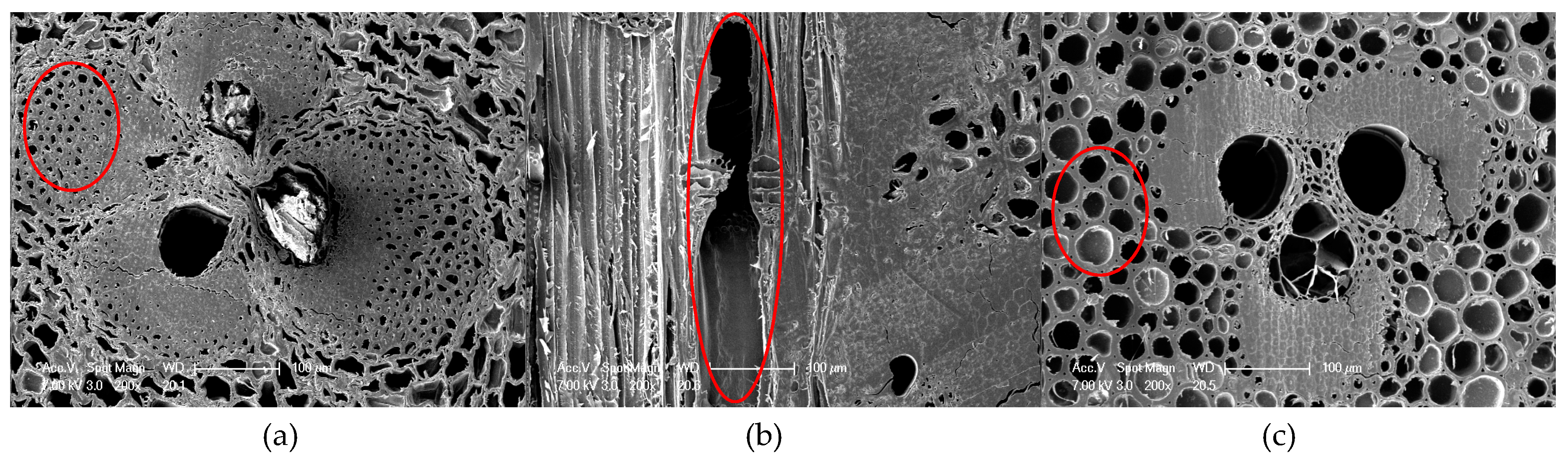 Materials 12 01450 g002