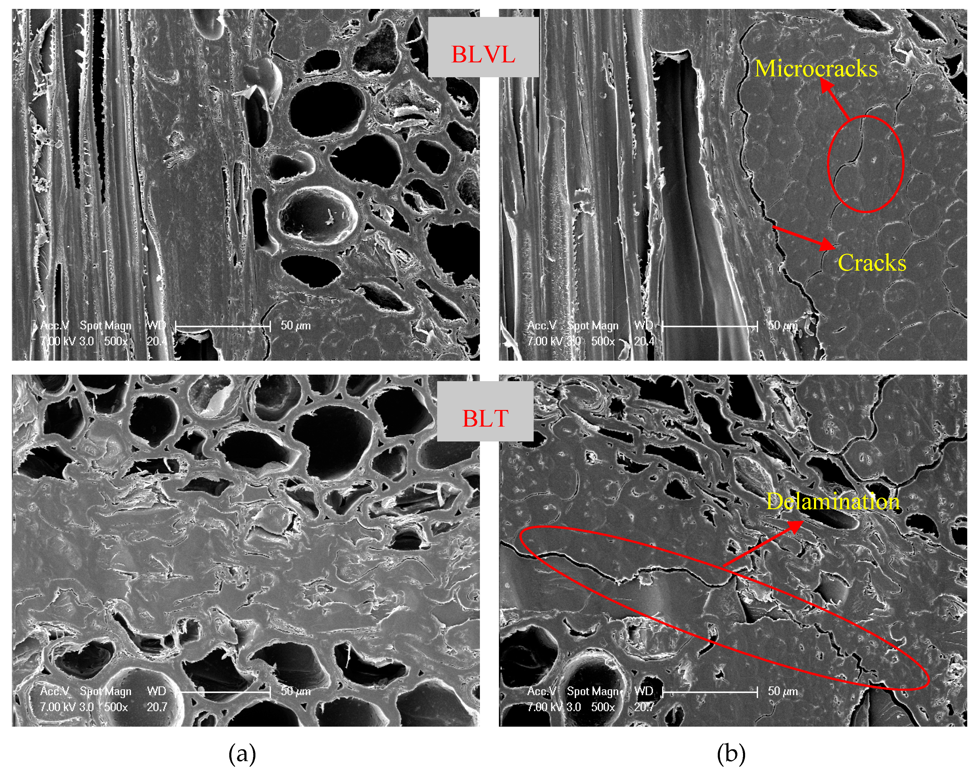 Materials 12 01450 g007b