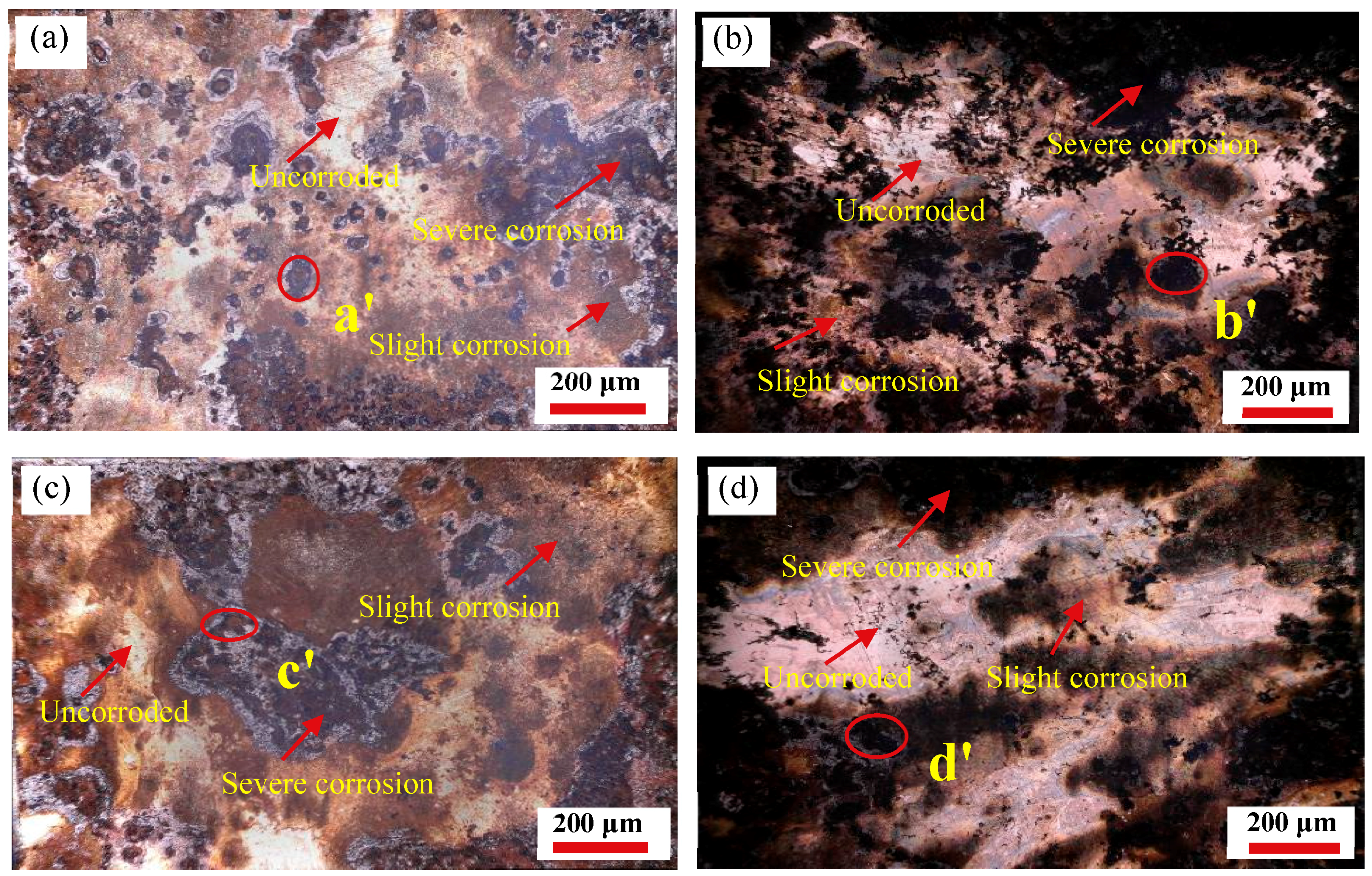 Materials 12 01455 g010