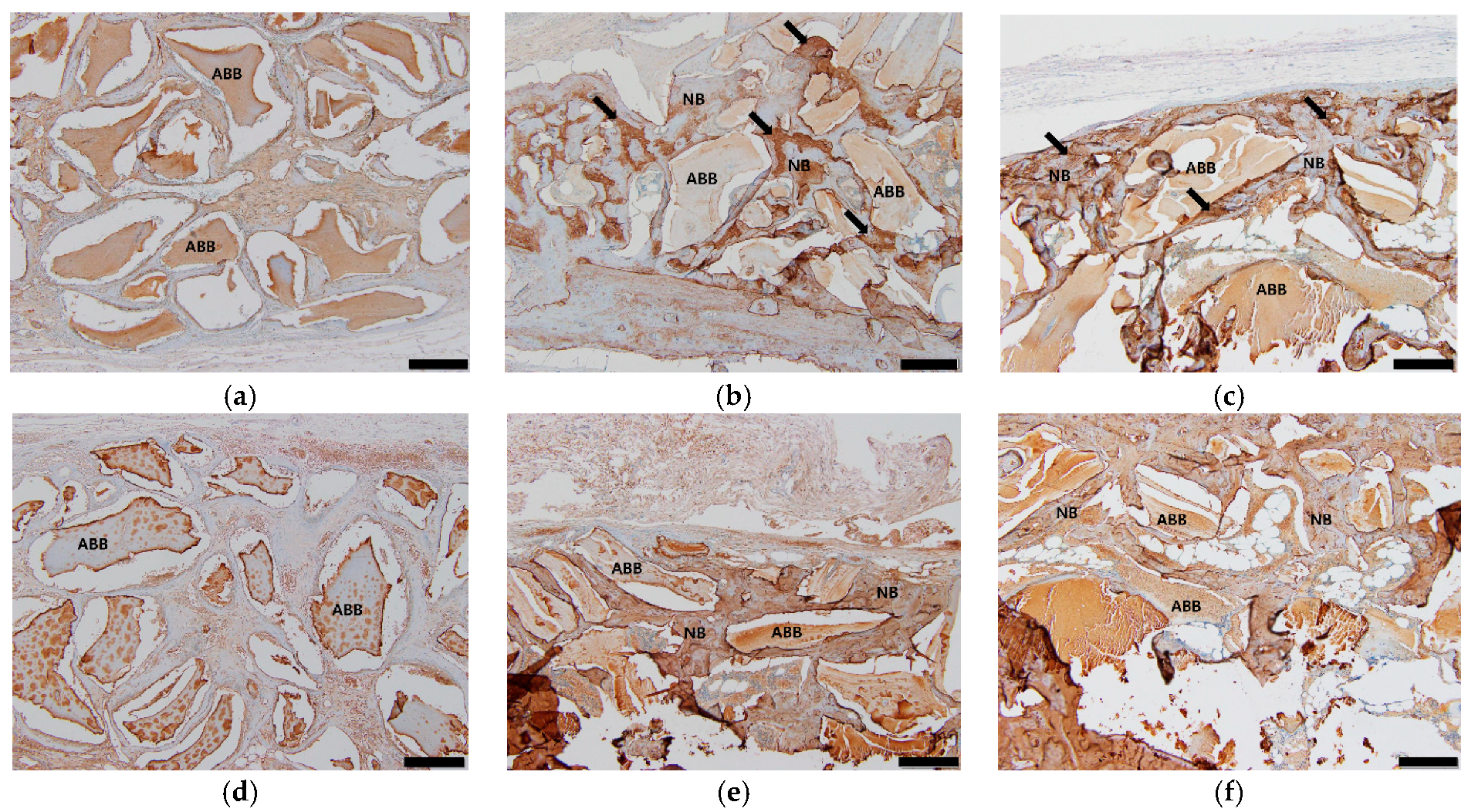 Materials 12 01613 g005