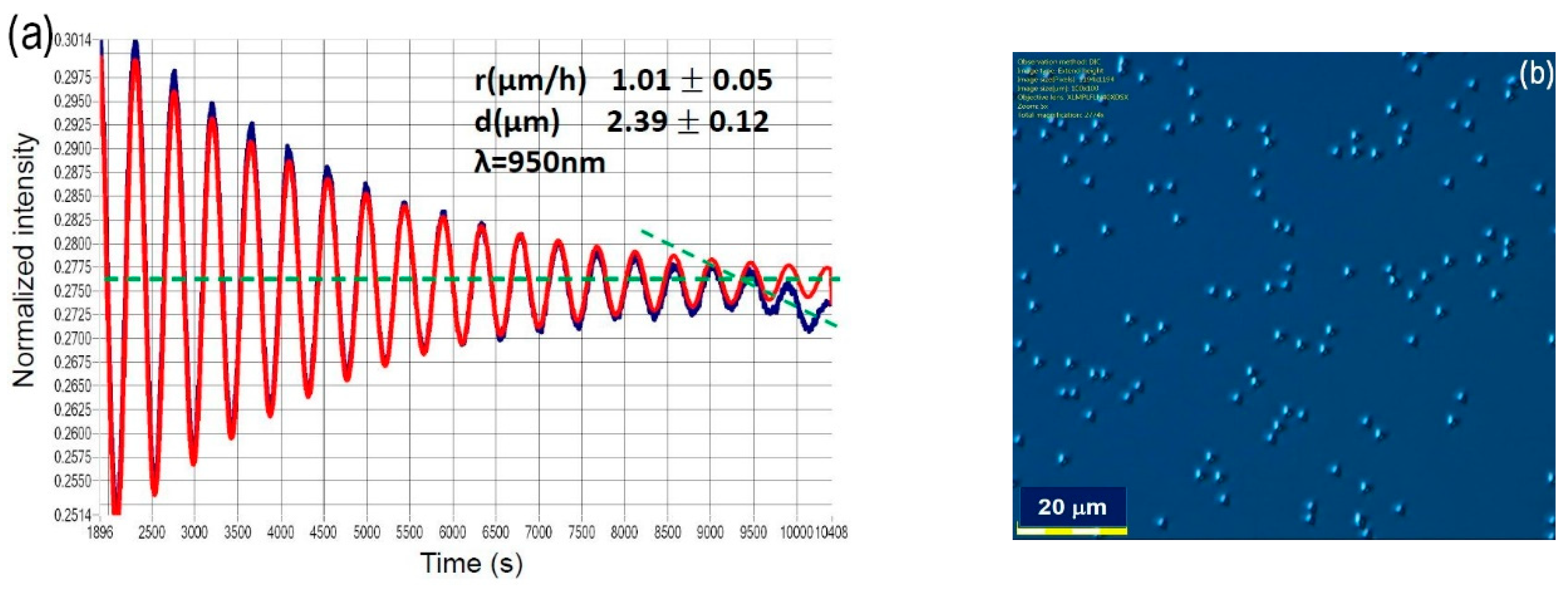 Materials 12 01621 g001