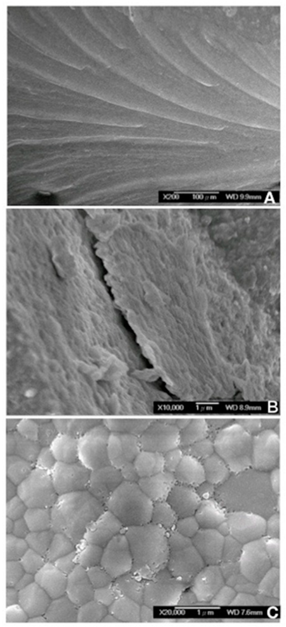 Materials 12 01623 g007