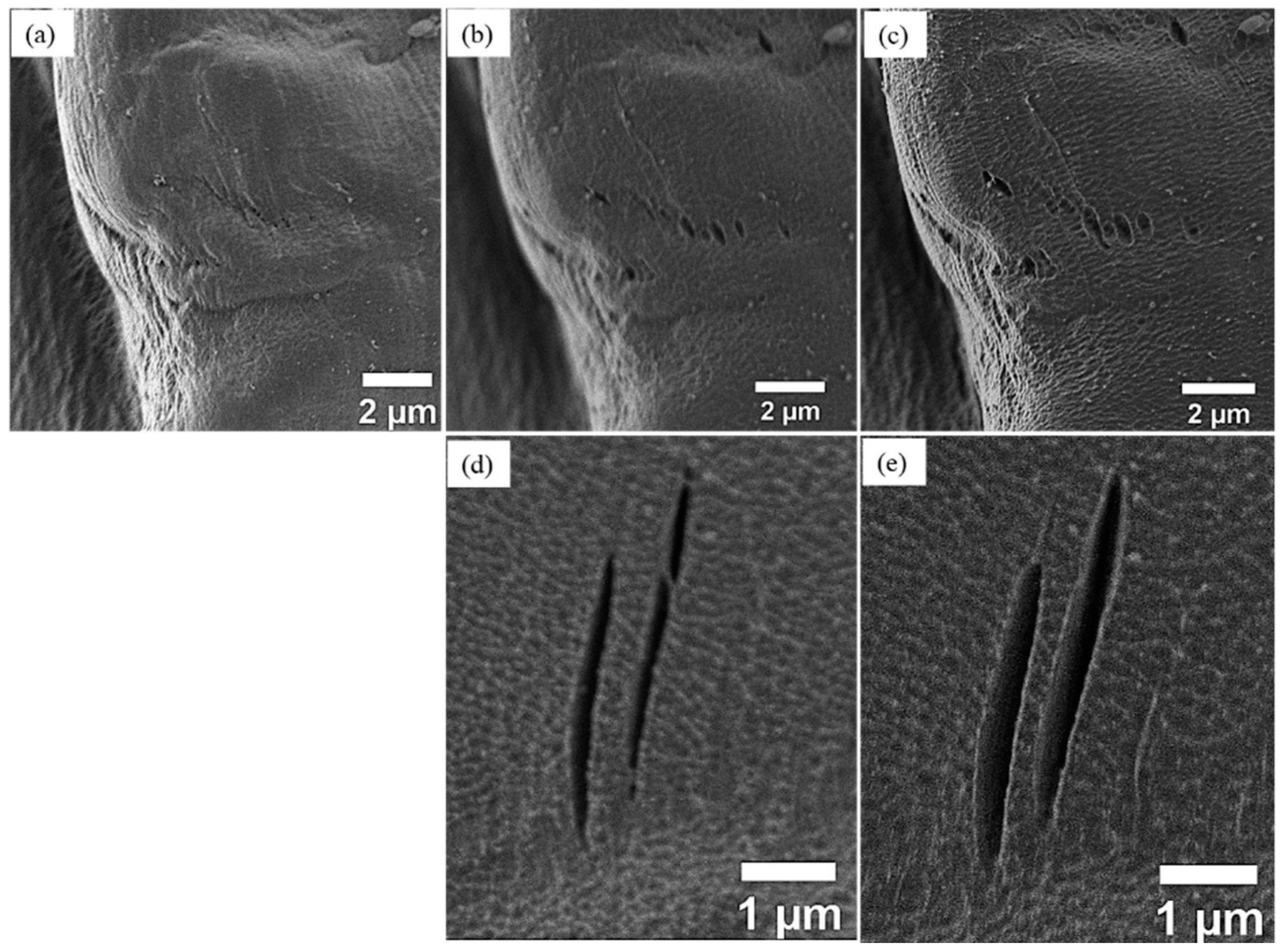 Materials 12 01631 g005