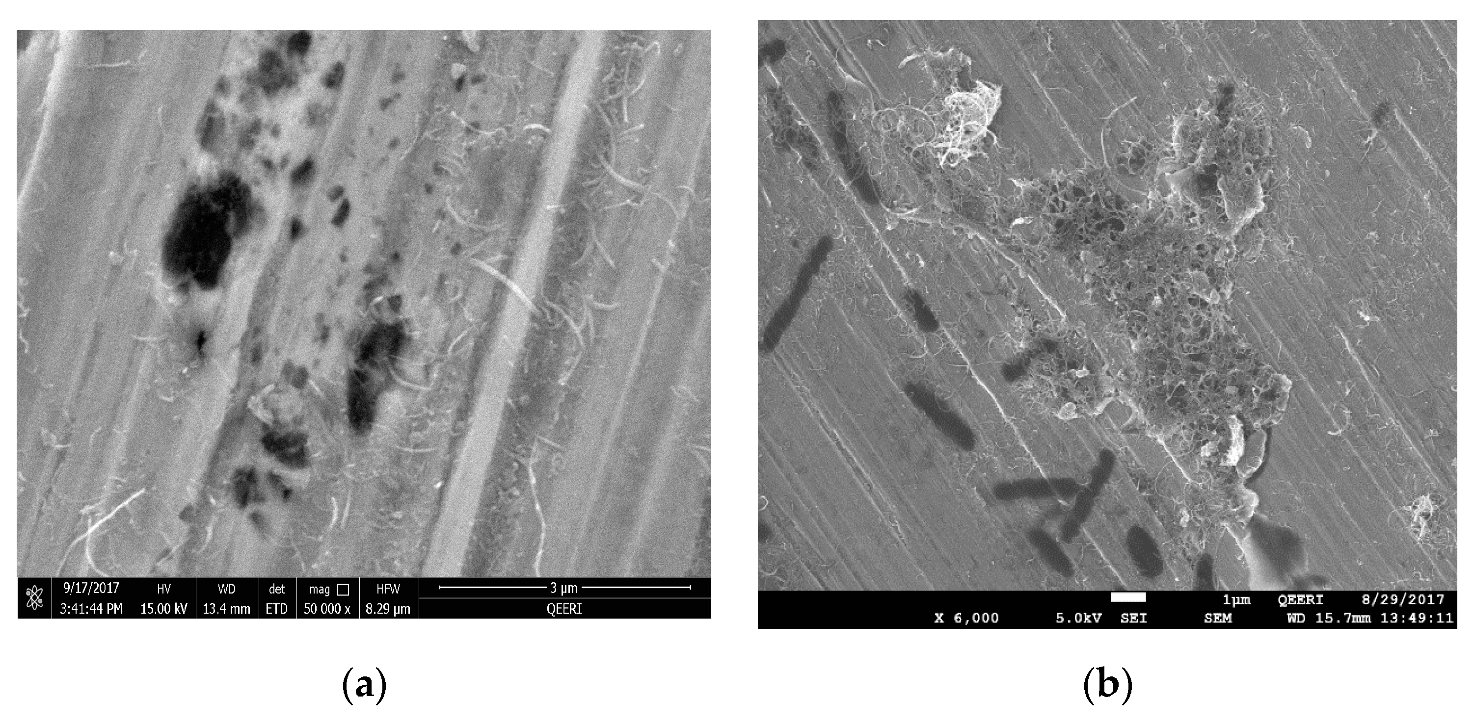 Materials 12 01634 g008a