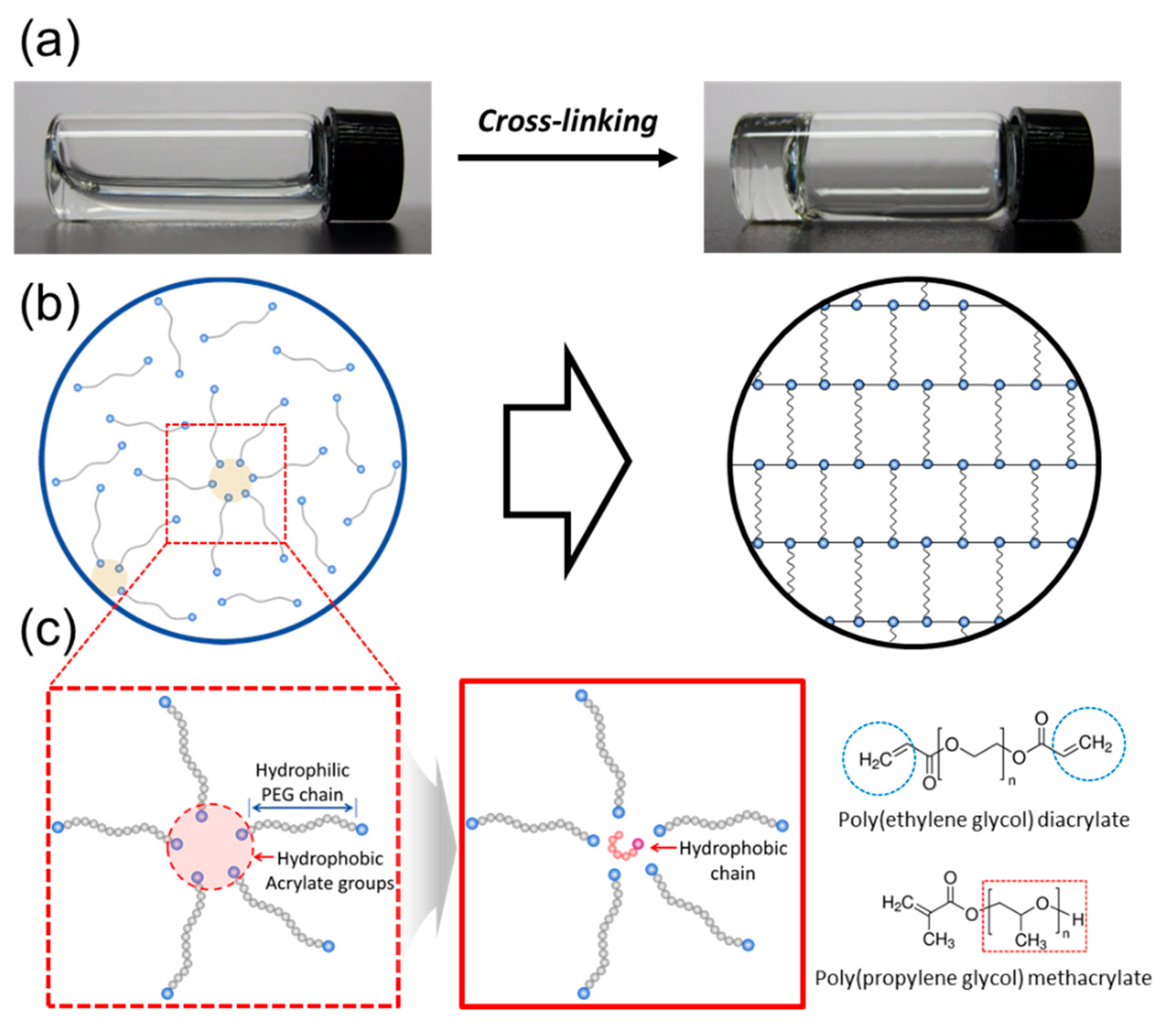 Materials 12 01635 g001