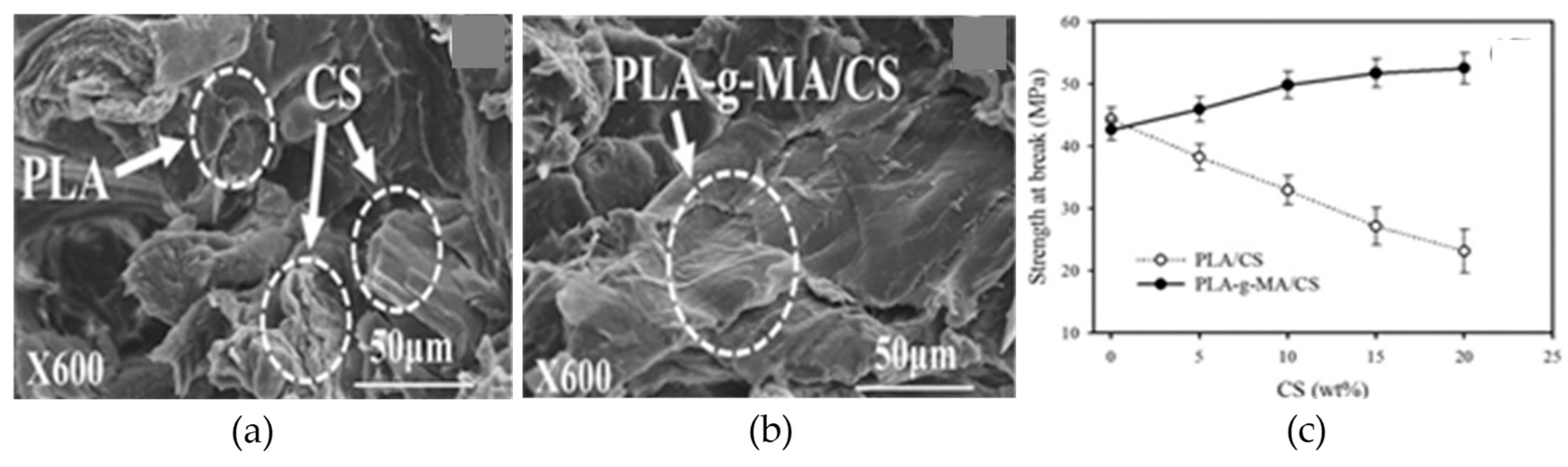 Materials 12 01664 g017