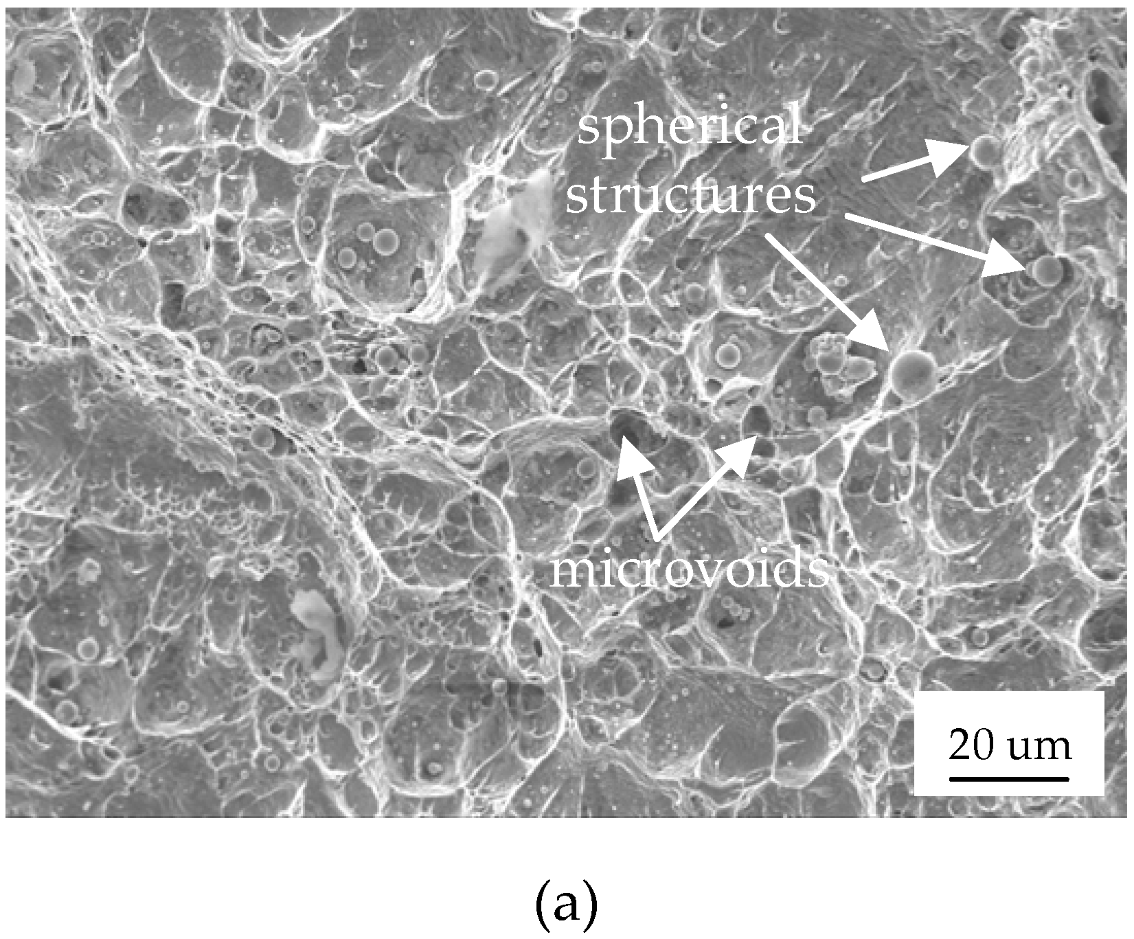 Materials 12 01714 g008a Materials 12 01714 g008a