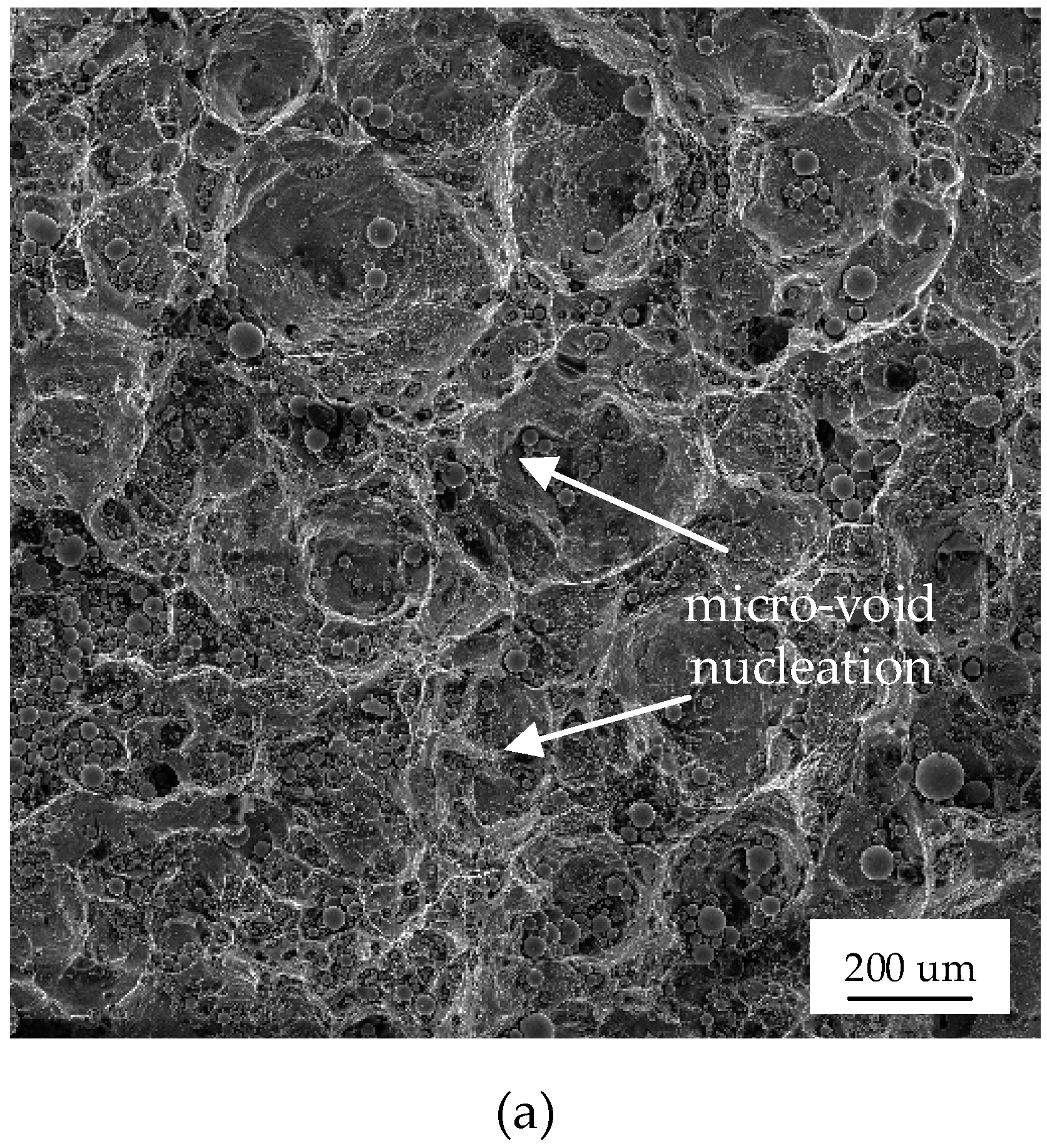Materials 12 01714 g010a Materials 12 01714 g010a