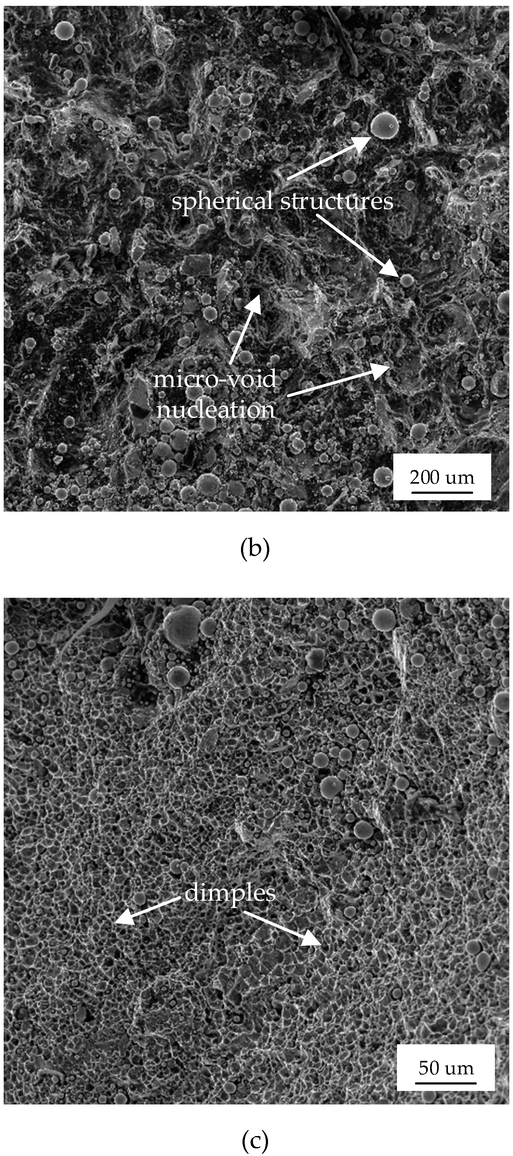 Materials 12 01714 g010b Materials 12 01714 g010b