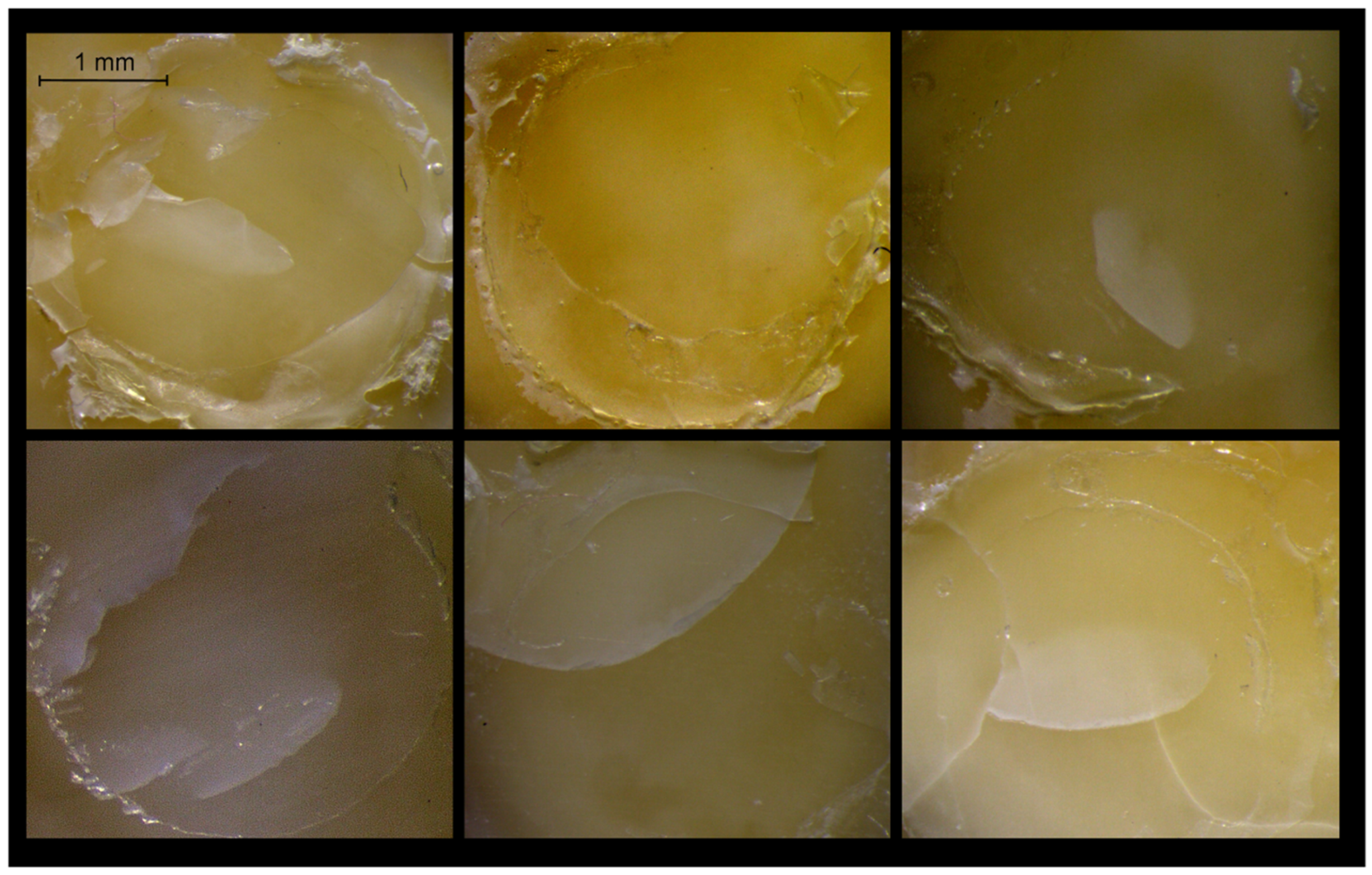 Materials 12 01720 g005