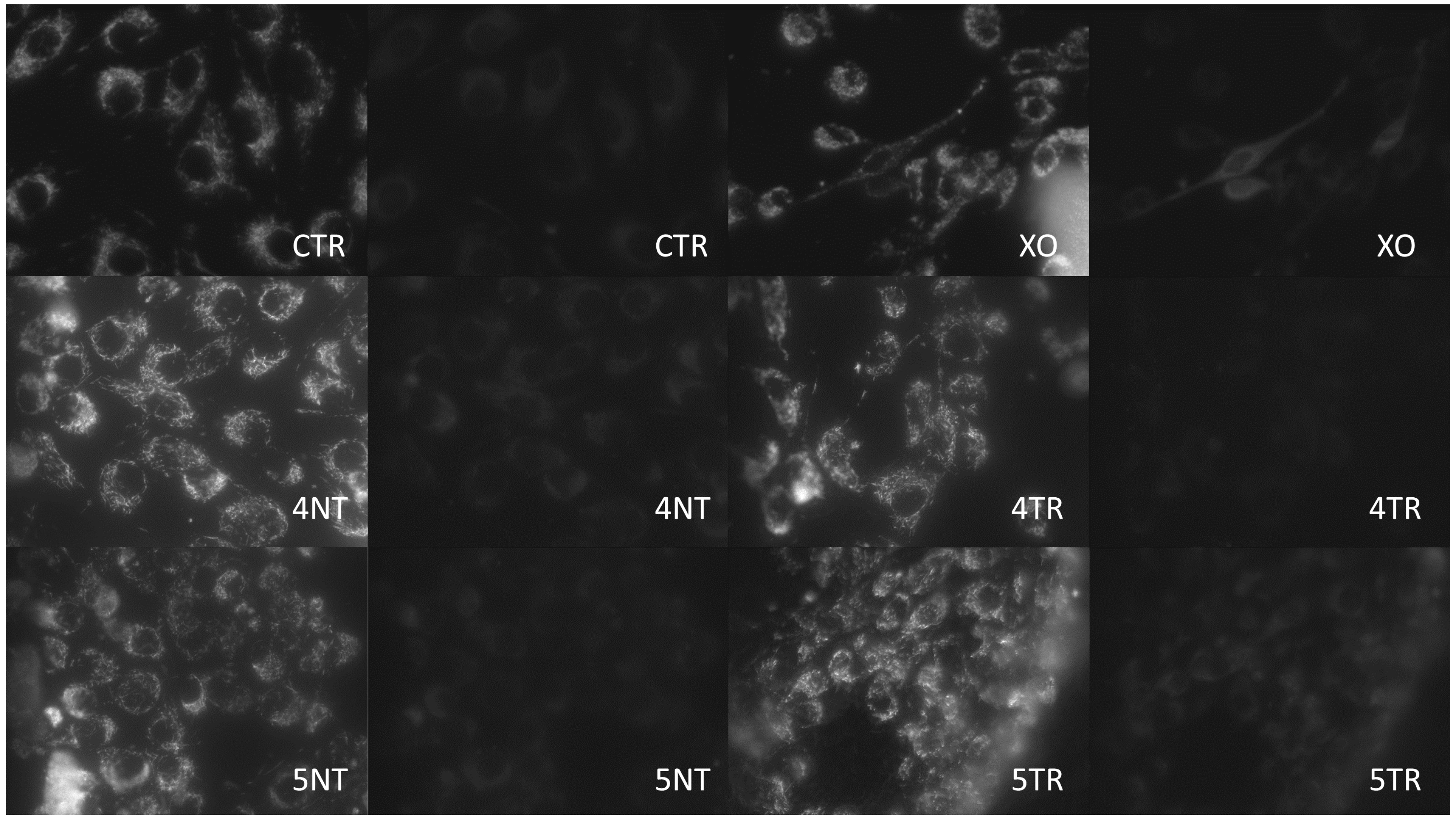 Materials 12 01735 g003