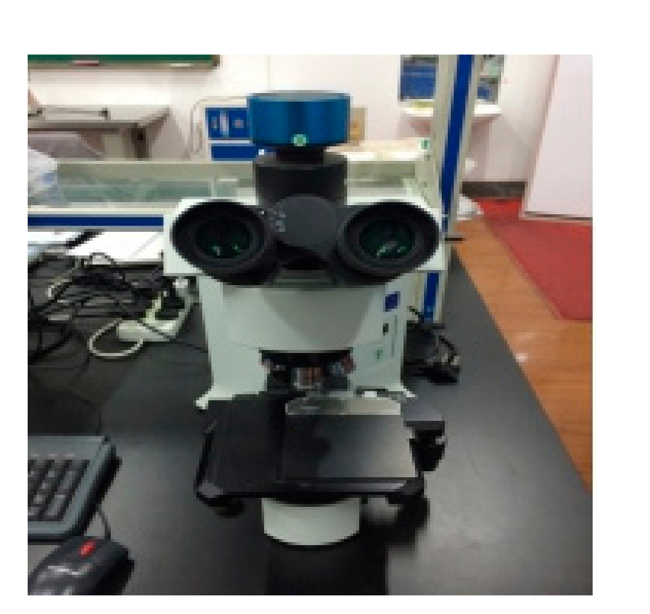 Materials 12 01790 g003