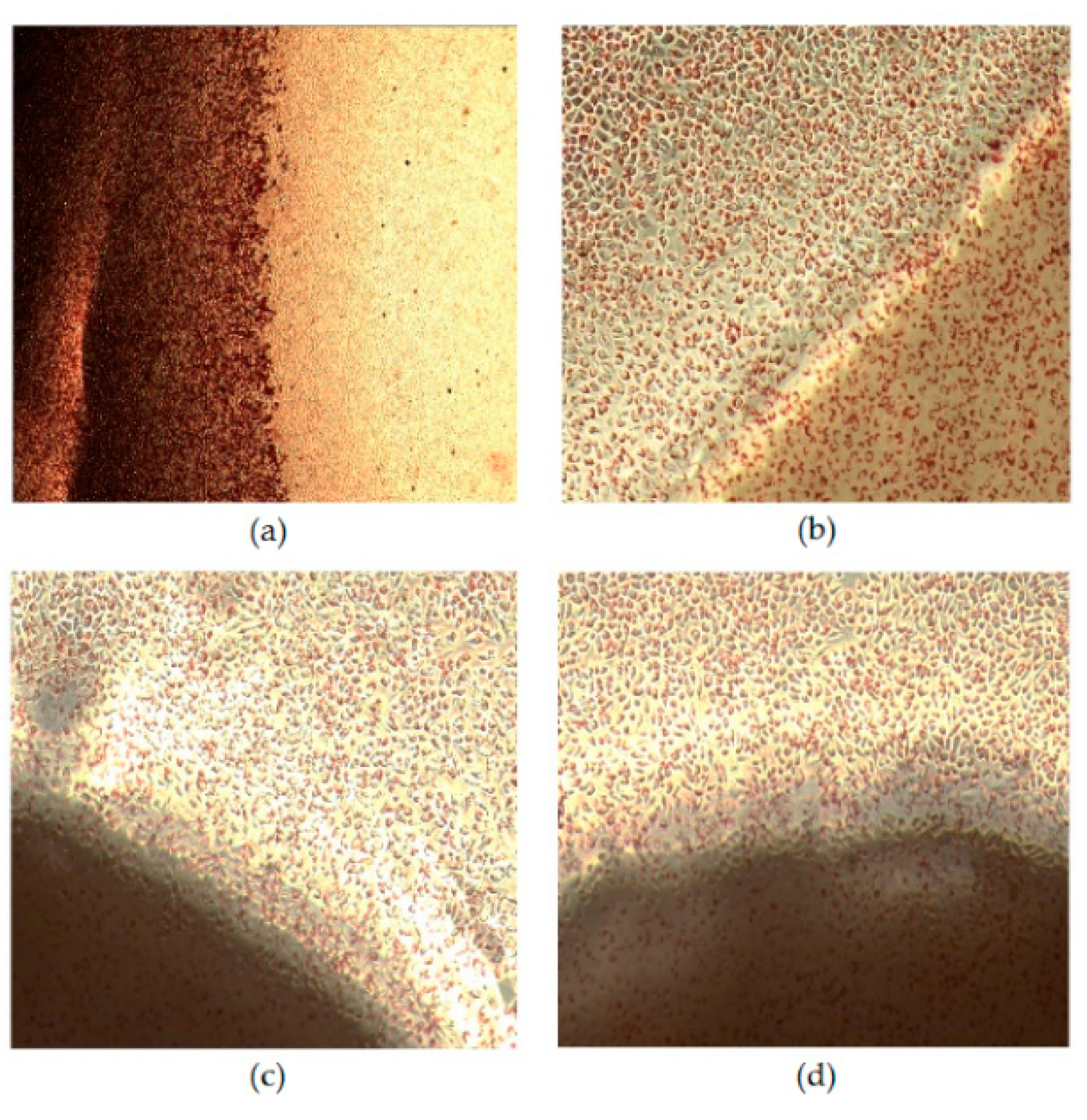 Materials 12 01807 g008 Materials 12 01807 g008