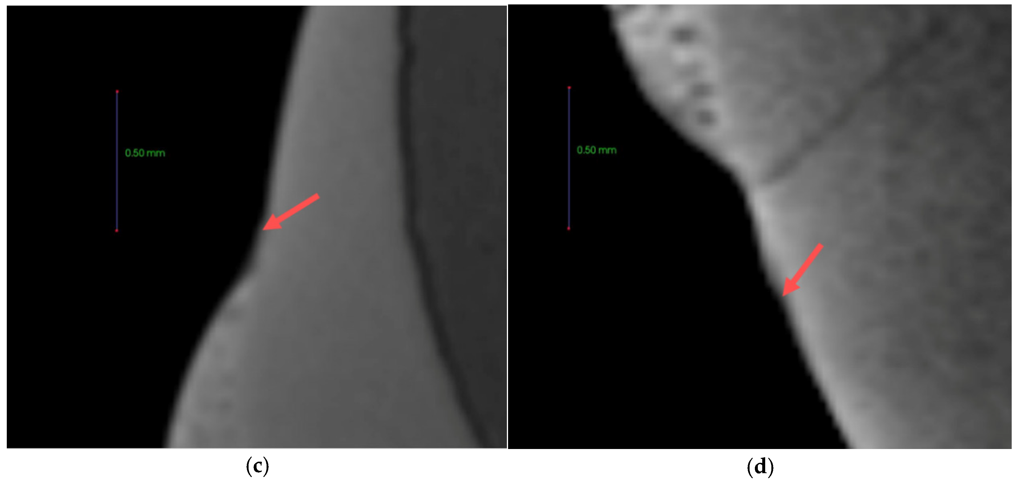 Materials 12 01813 g011b Materials 12 01813 g011b