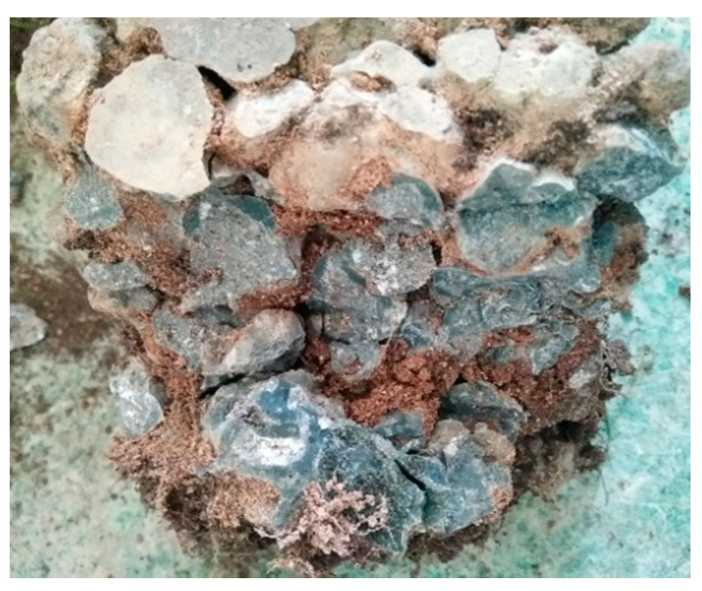 Materials 12 01855 g031