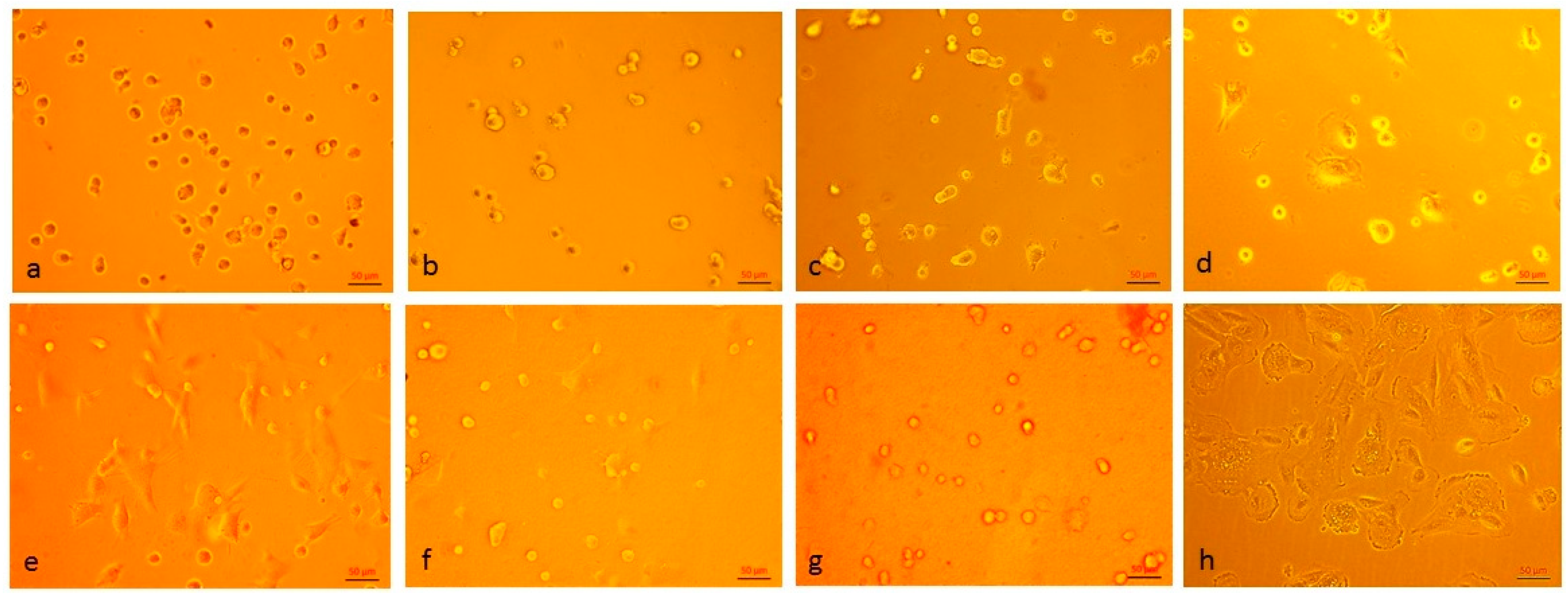 Materials 12 01874 g006