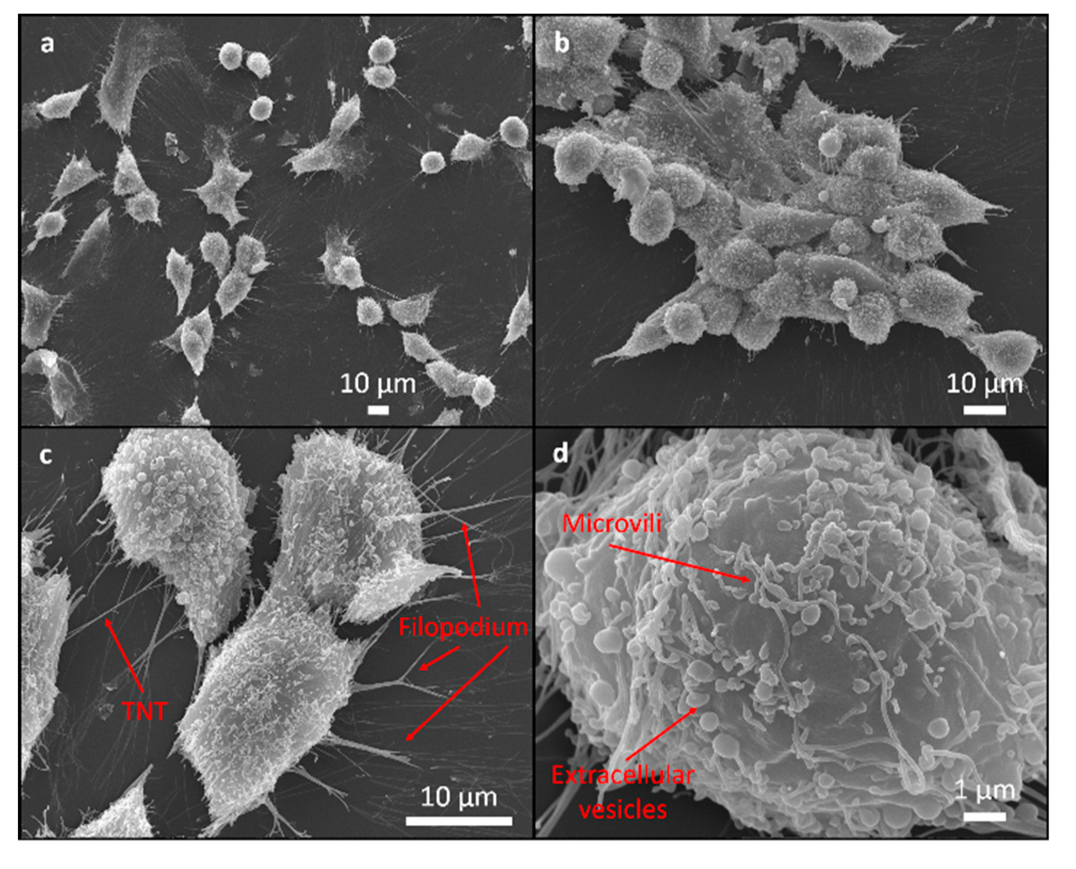 Materials 12 01877 g004 Materials 12 01877 g004