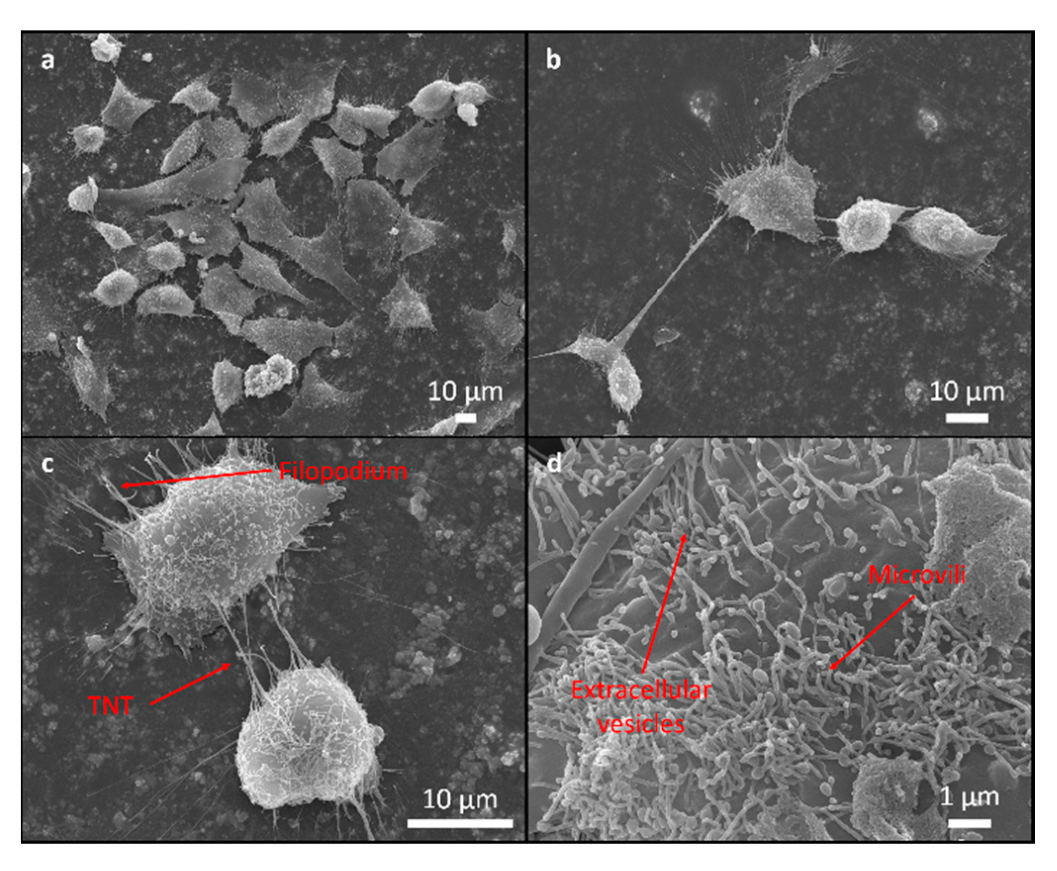 Materials 12 01877 g005 Materials 12 01877 g005