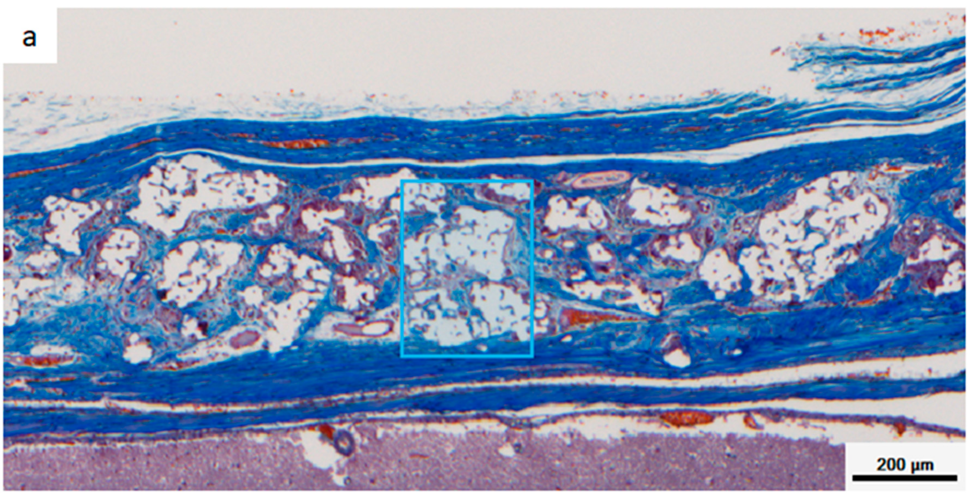 Materials 12 01881 g008a