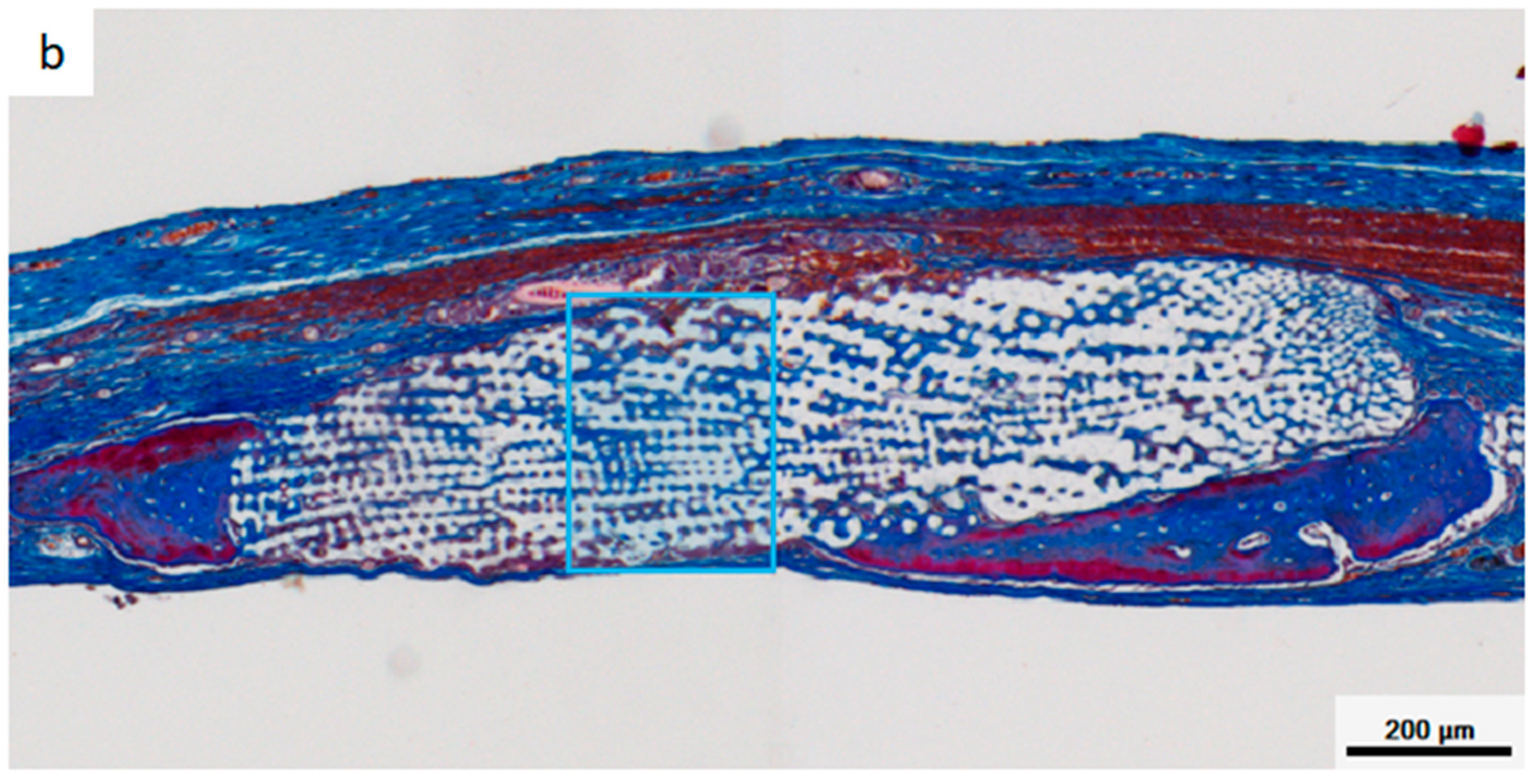 Materials 12 01881 g008b