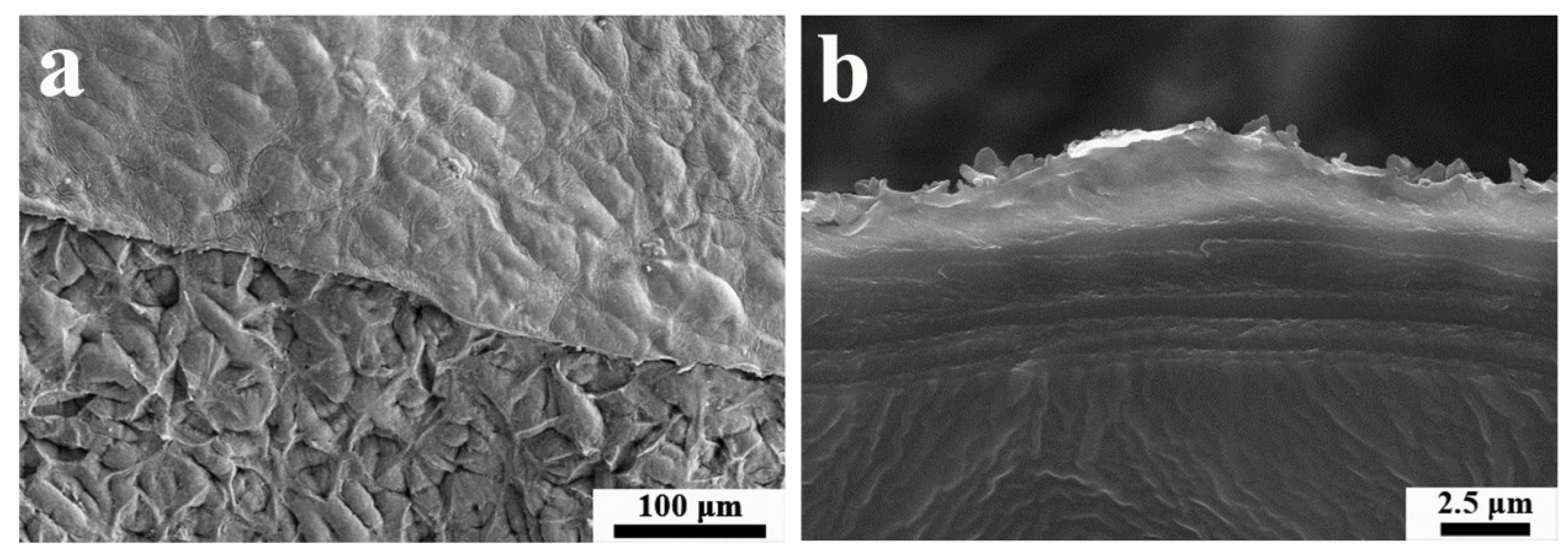 Materials 12 02039 g003