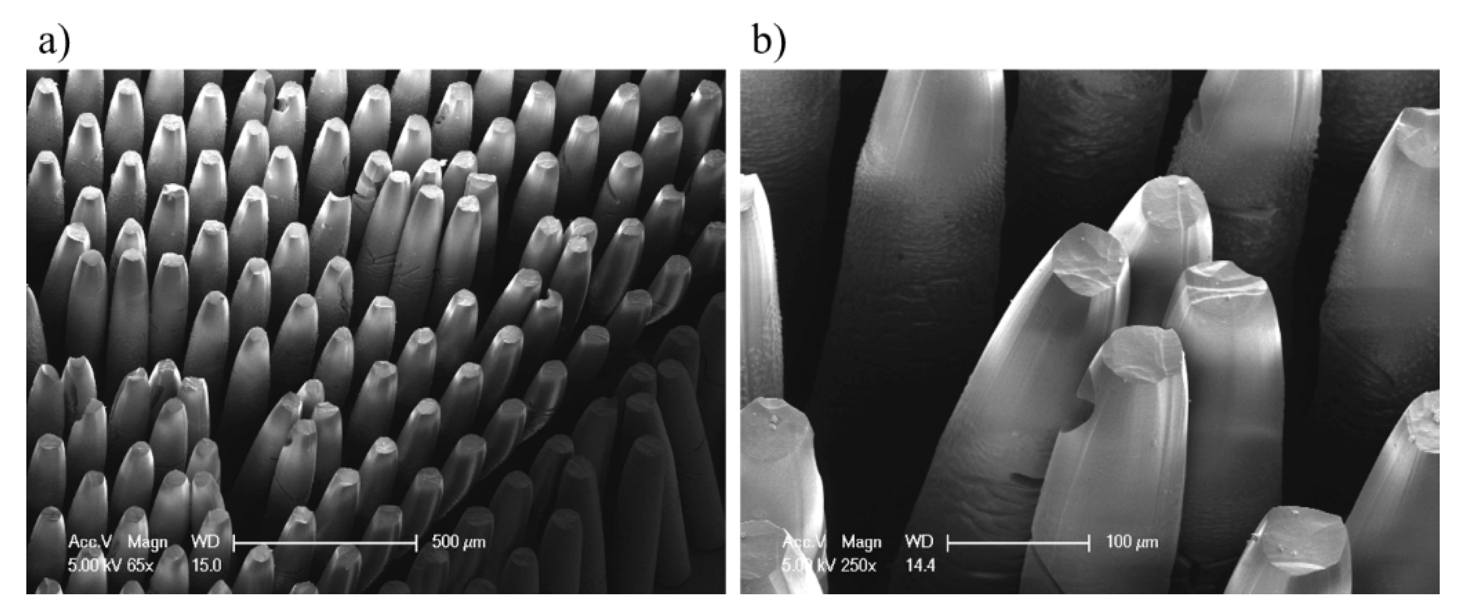 Materials 12 02056 g006