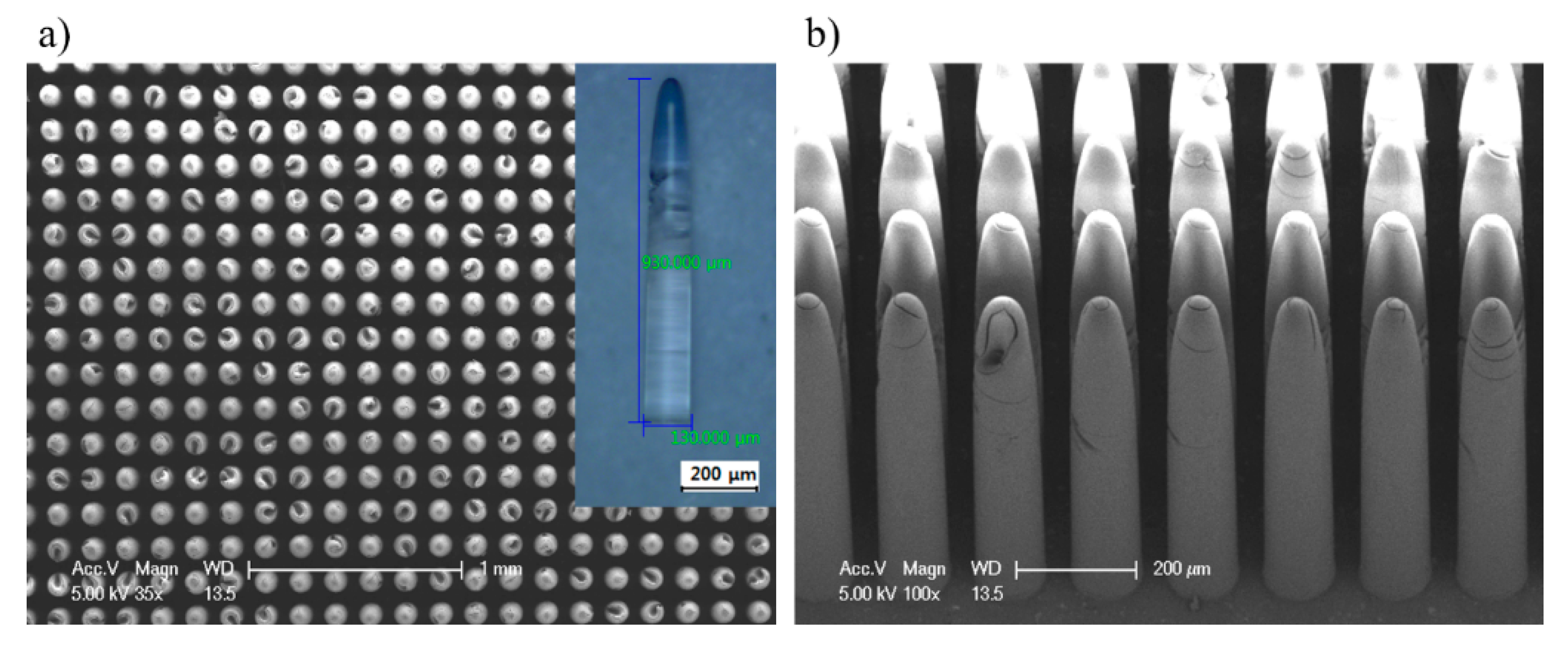 Materials 12 02056 g008