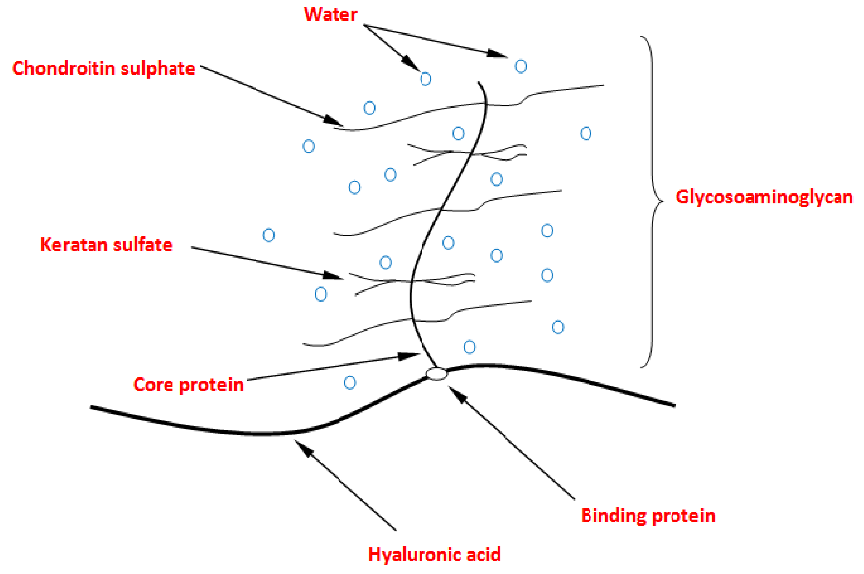 Materials 12 02060 g001