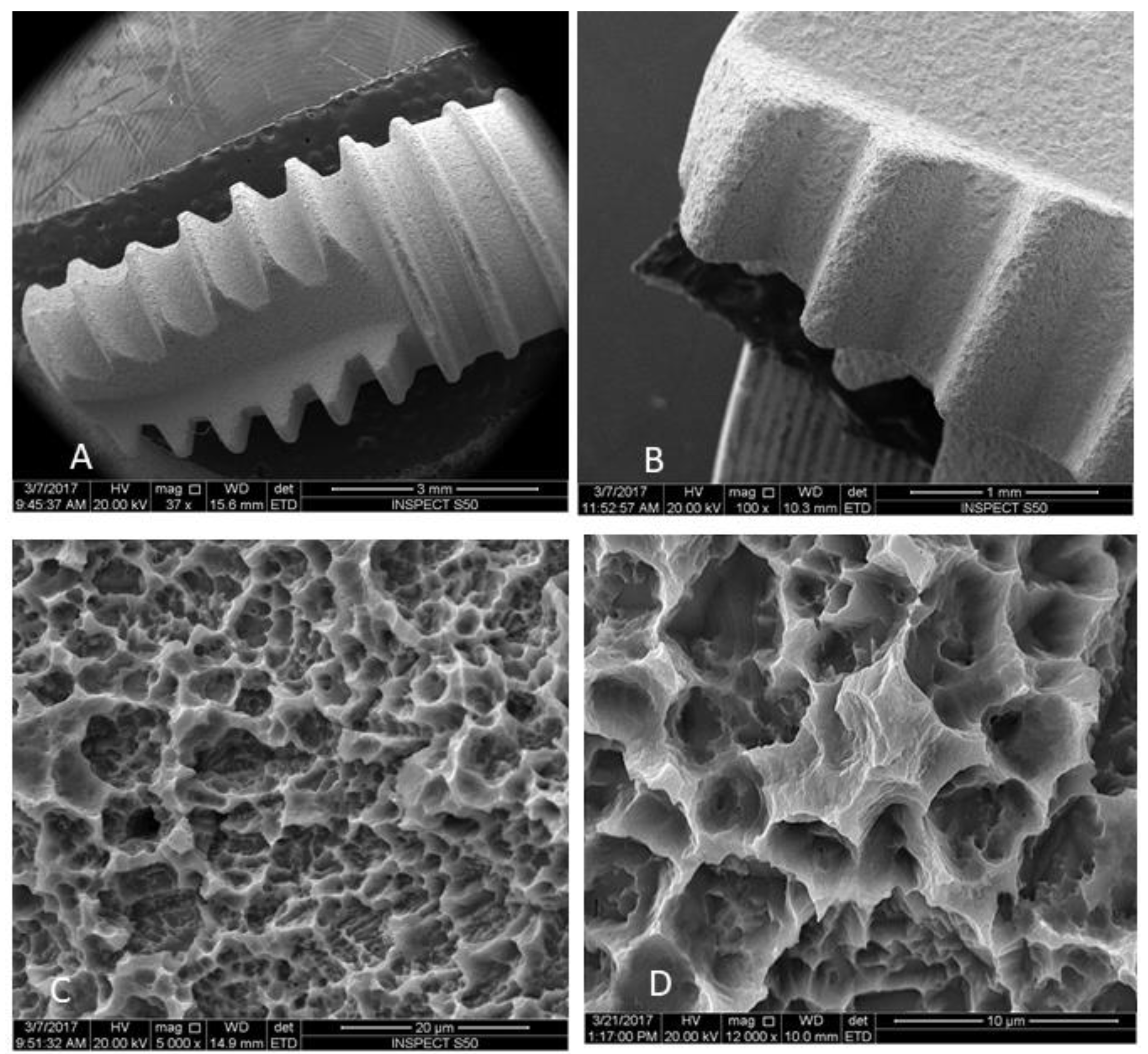 Materials 12 02073 g001