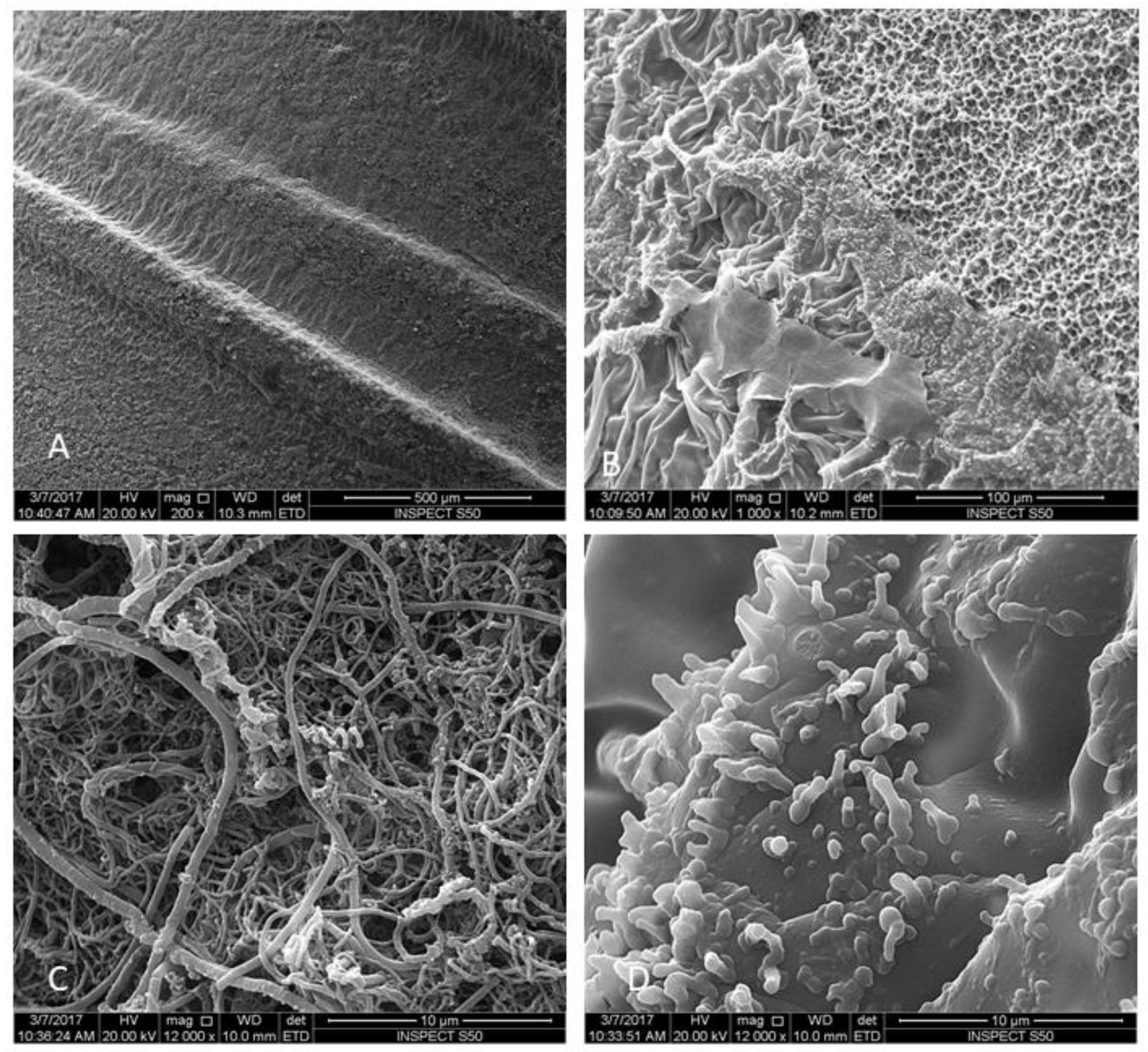 Materials 12 02073 g002