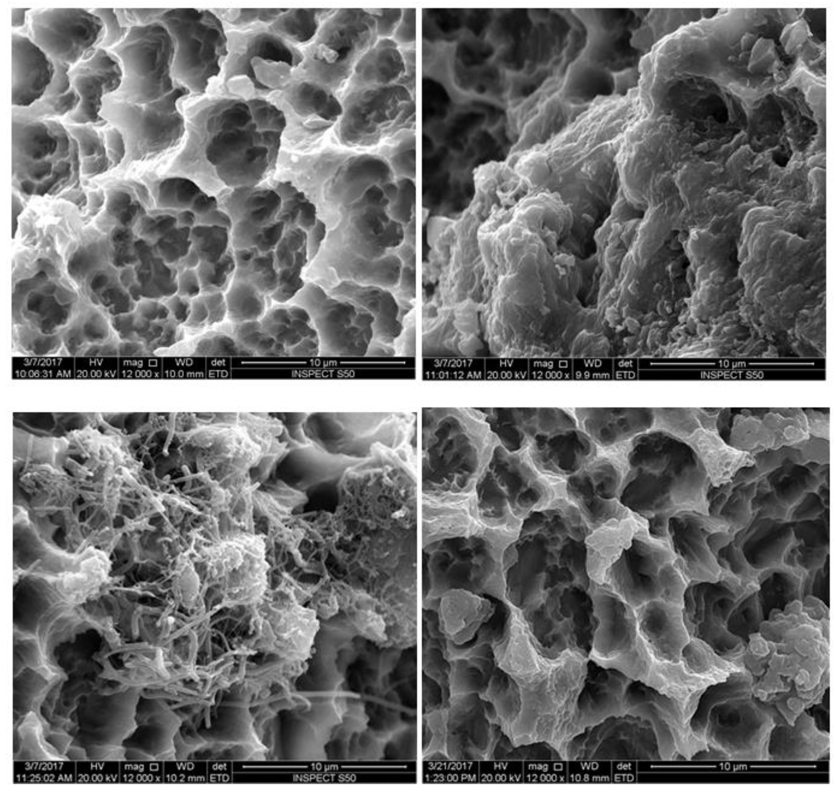 Materials 12 02073 g003